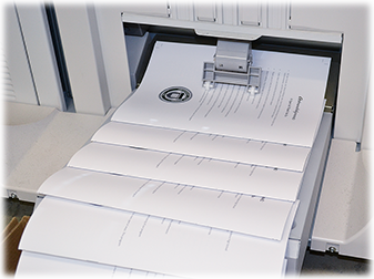 Manuals & Employee Handbooks