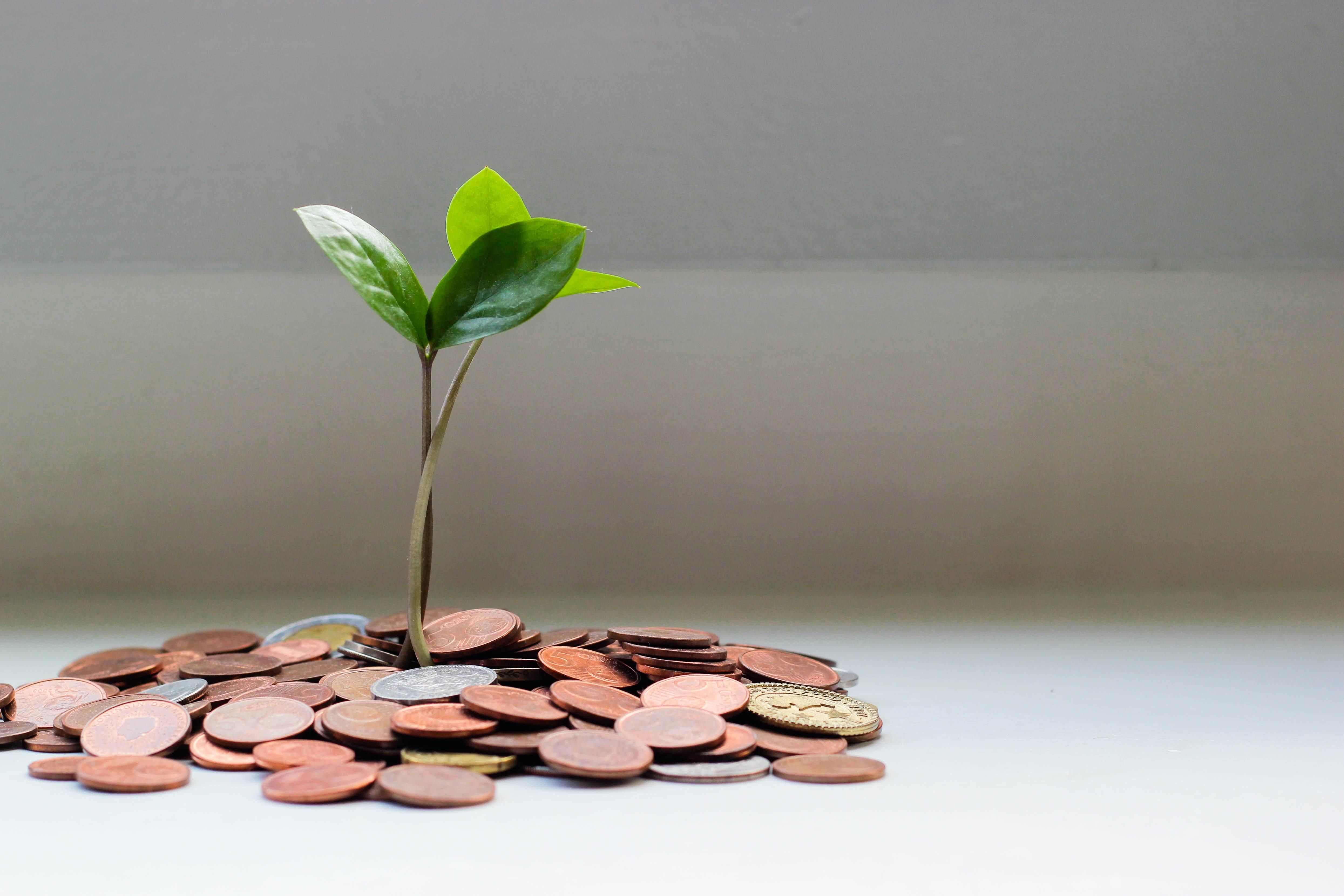 Funder Associations Driving Action on Local Impact Investing