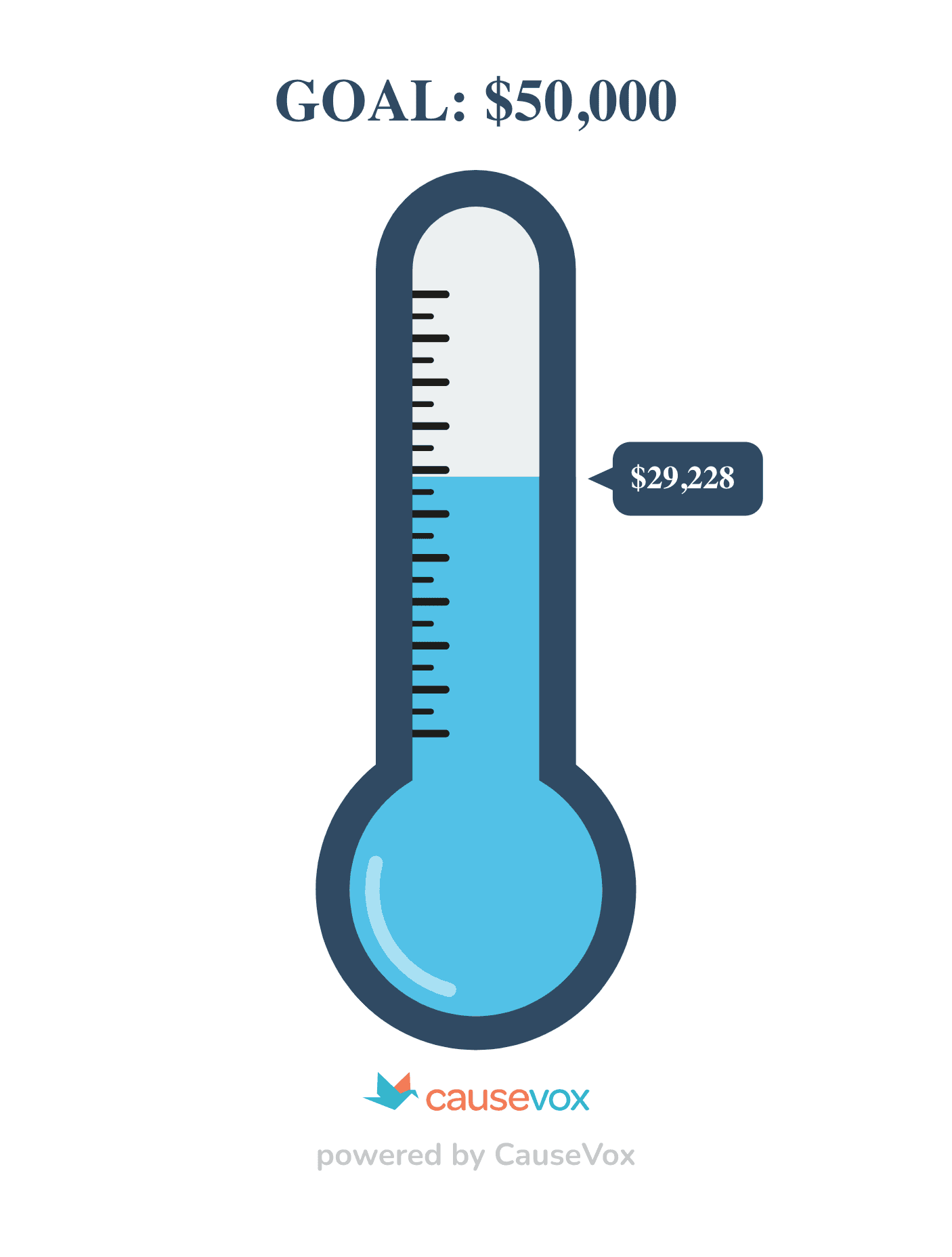 a blue thermometer registers $29,228 towards a $50,000 goal
