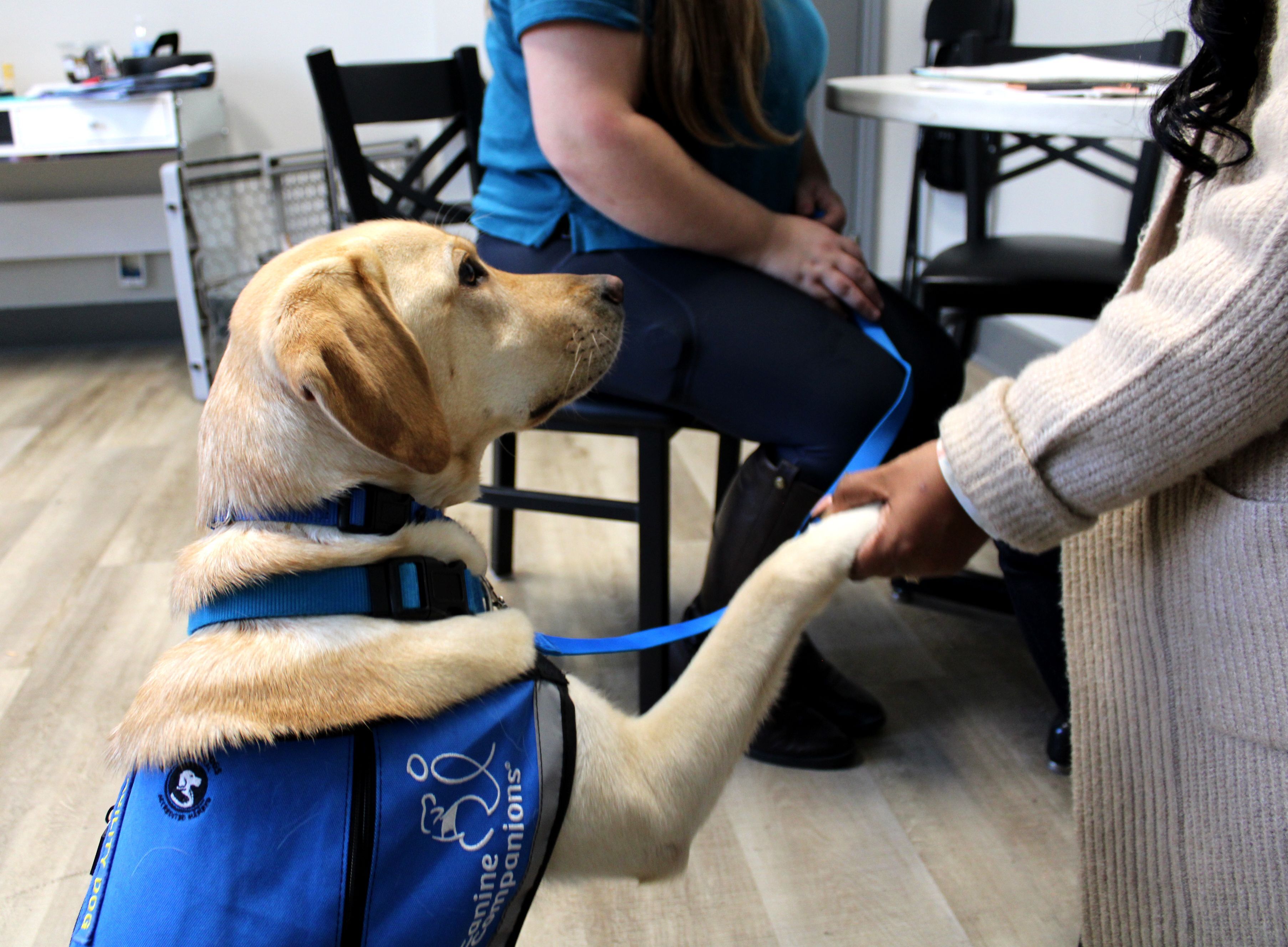 Home for Families facility dog Tatum provided by Canine Companions gives comfort and support to a Columbus-area individual looking for housing and financial support.