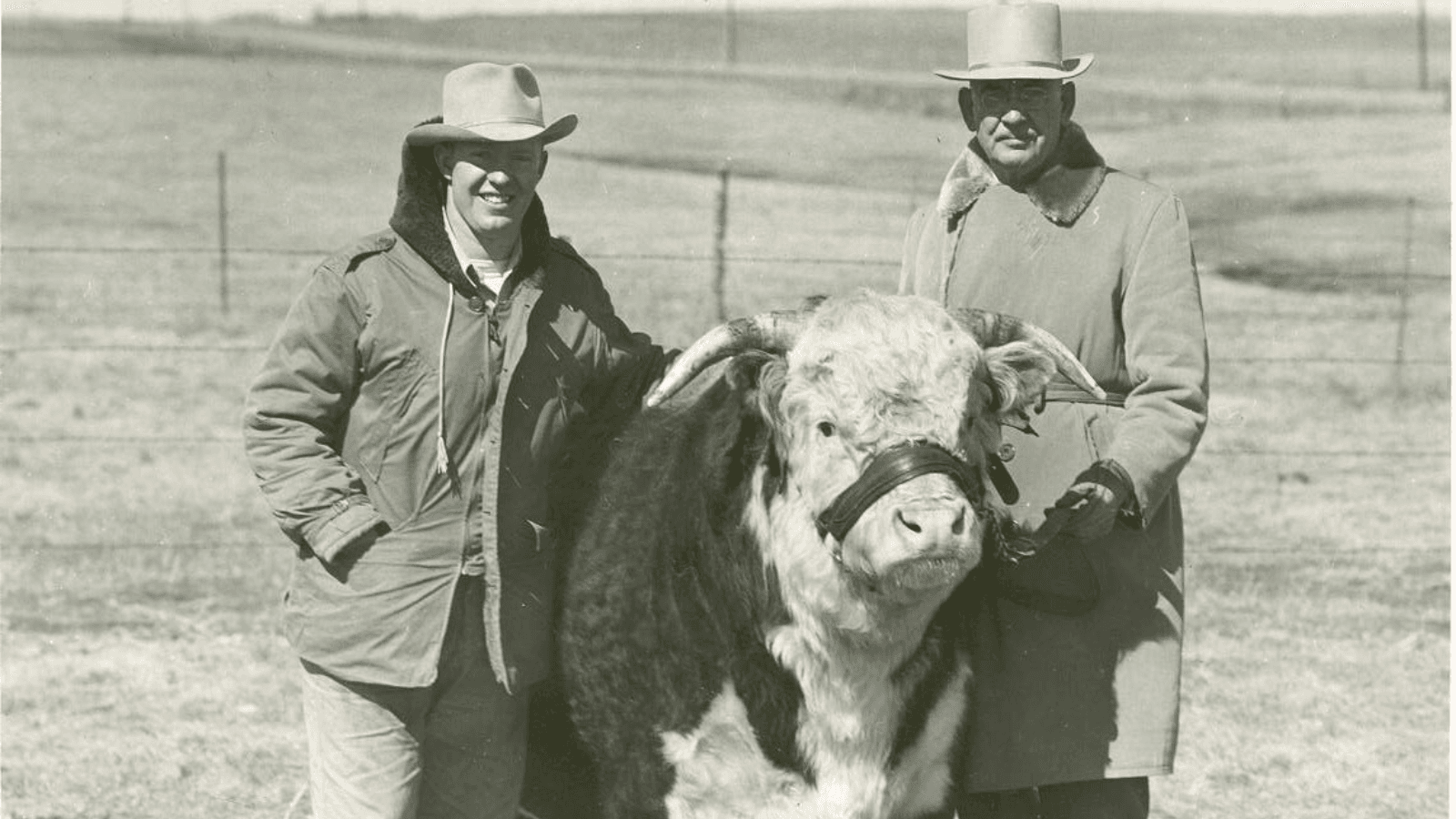 Black and white photo of two farmers standing next to cow