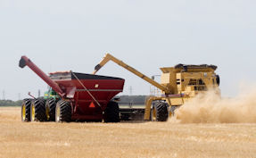 Central City Scale : Harvest Solutions : Grain Cart Scales