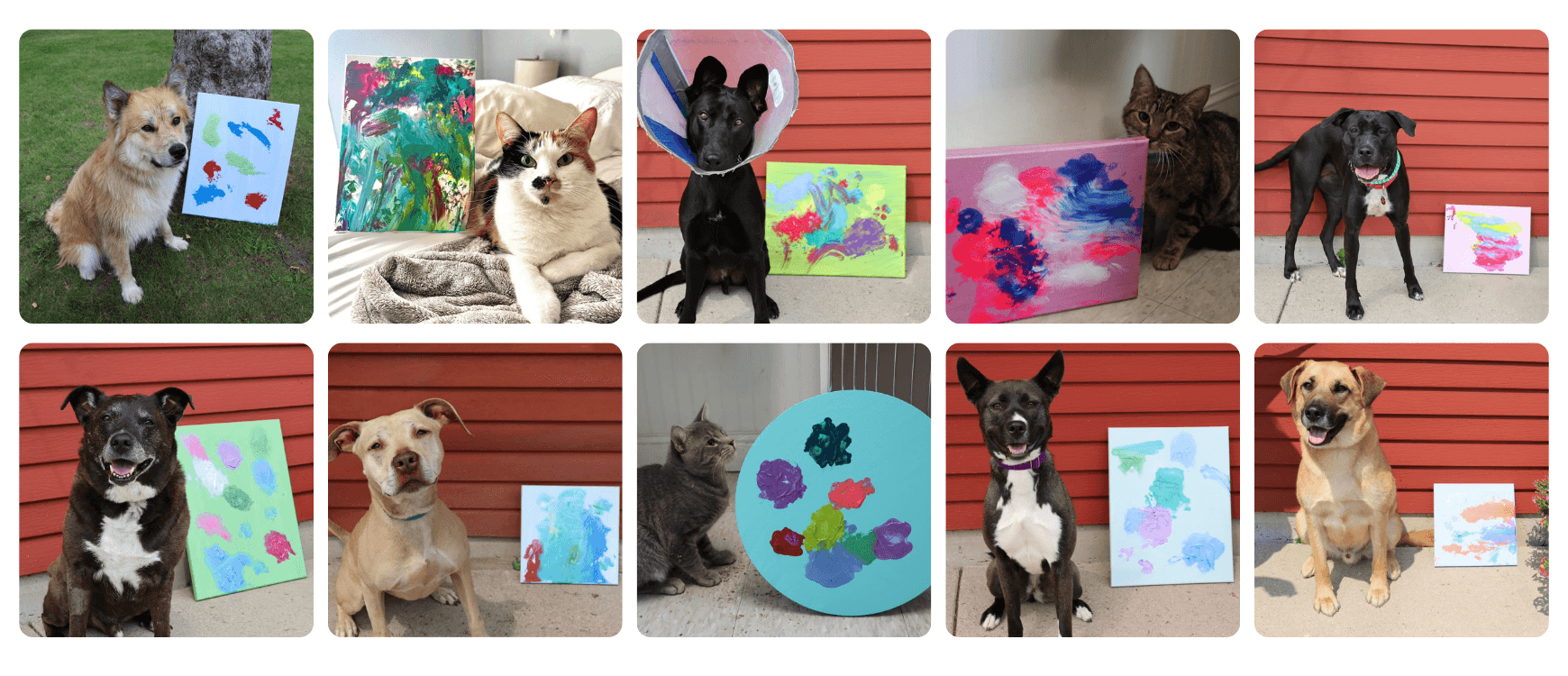 Pawject Runway Art Auction