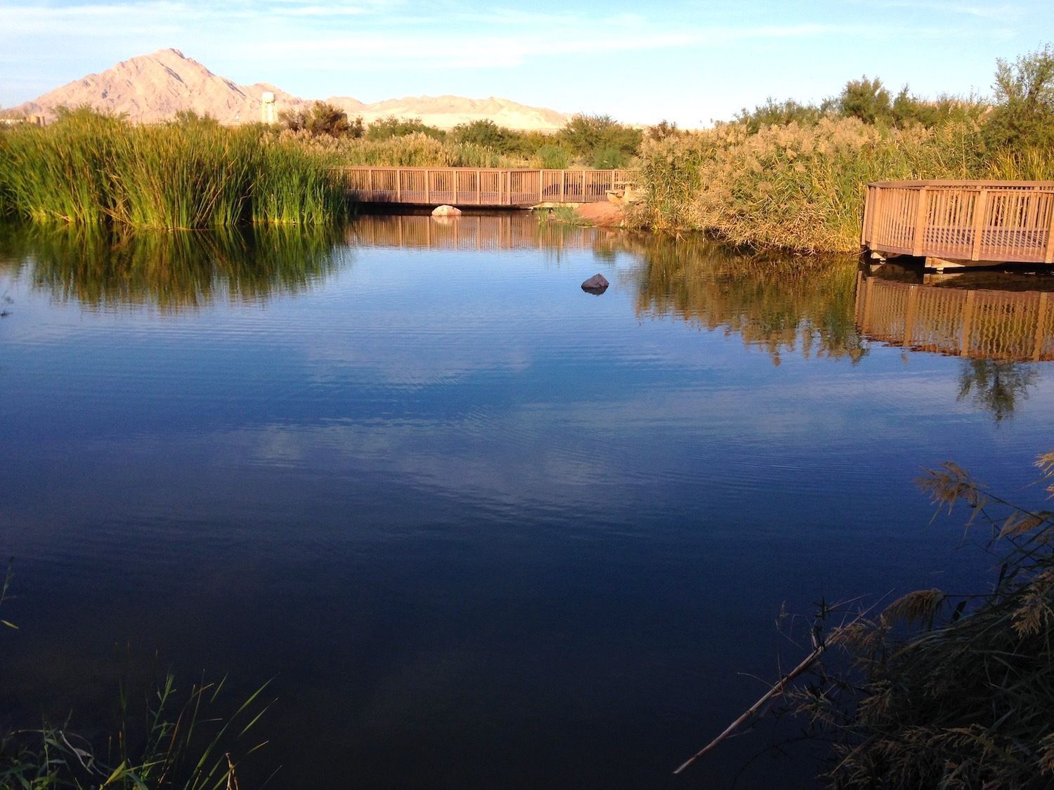 Duck and turtle pond with boardwalk iin background