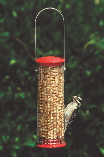 Shelled Peanut Feeder