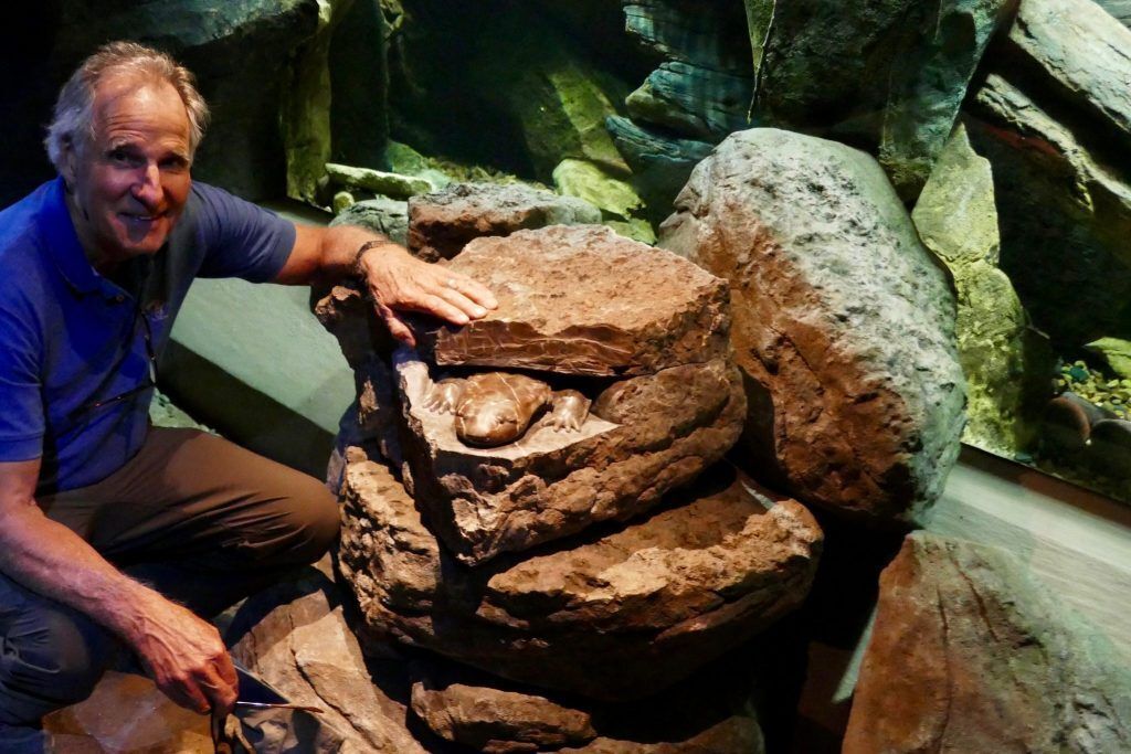 Dale posing with his hellbender sculpture that is located at the zoo