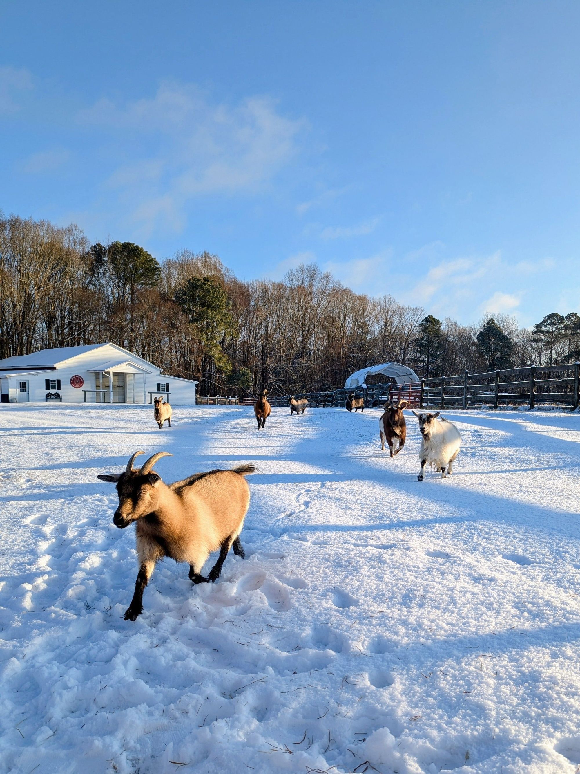 sunset over the farm
