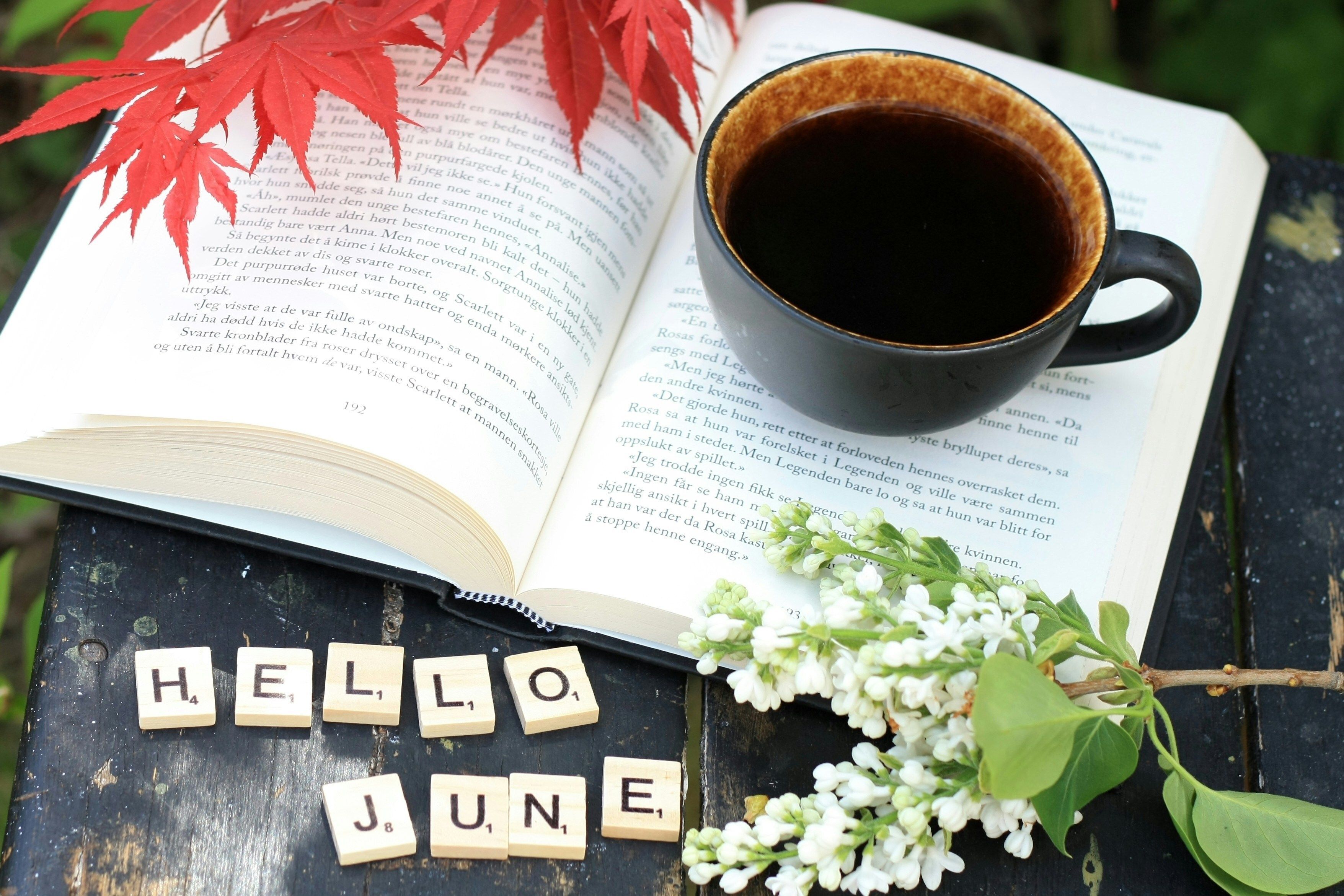 June 2026 Activities Calendar