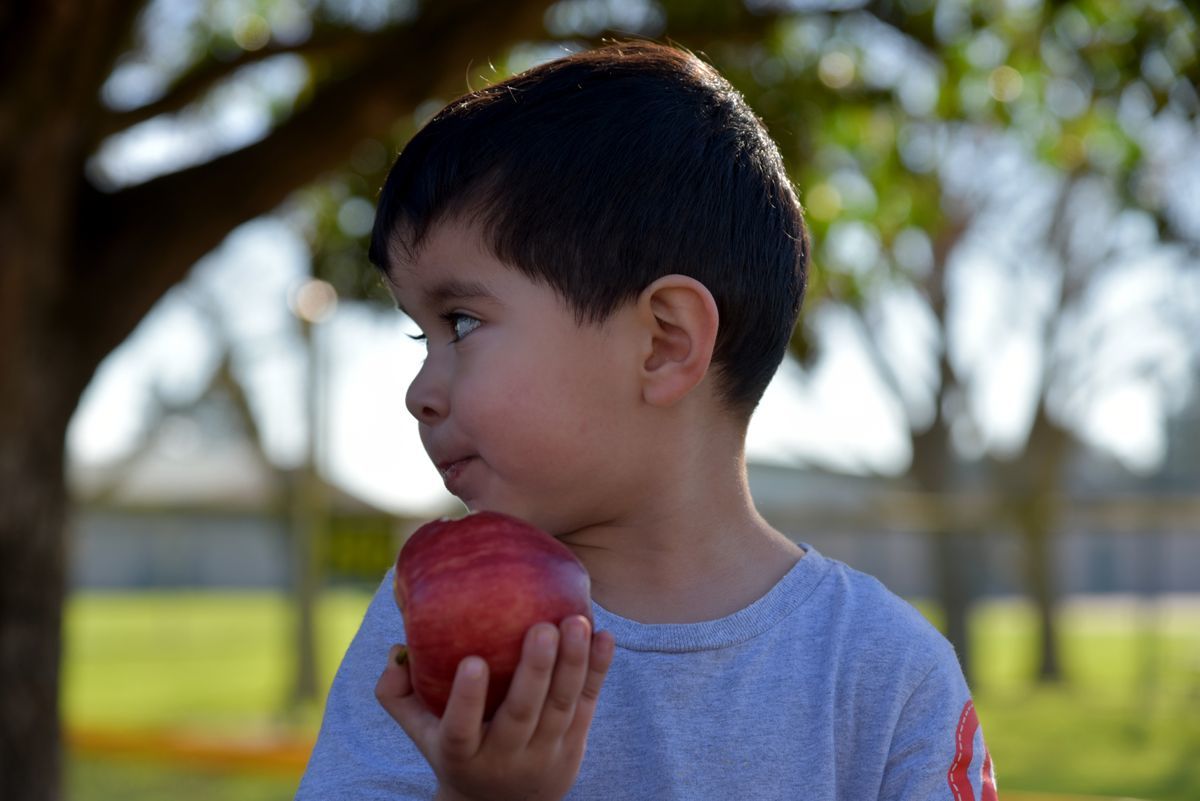 Young boy holding an apple