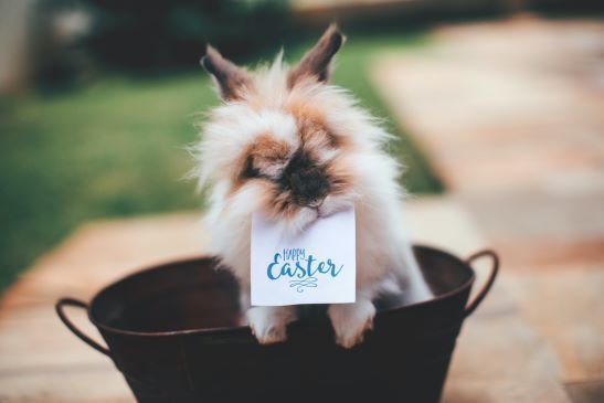 Easter Sunday