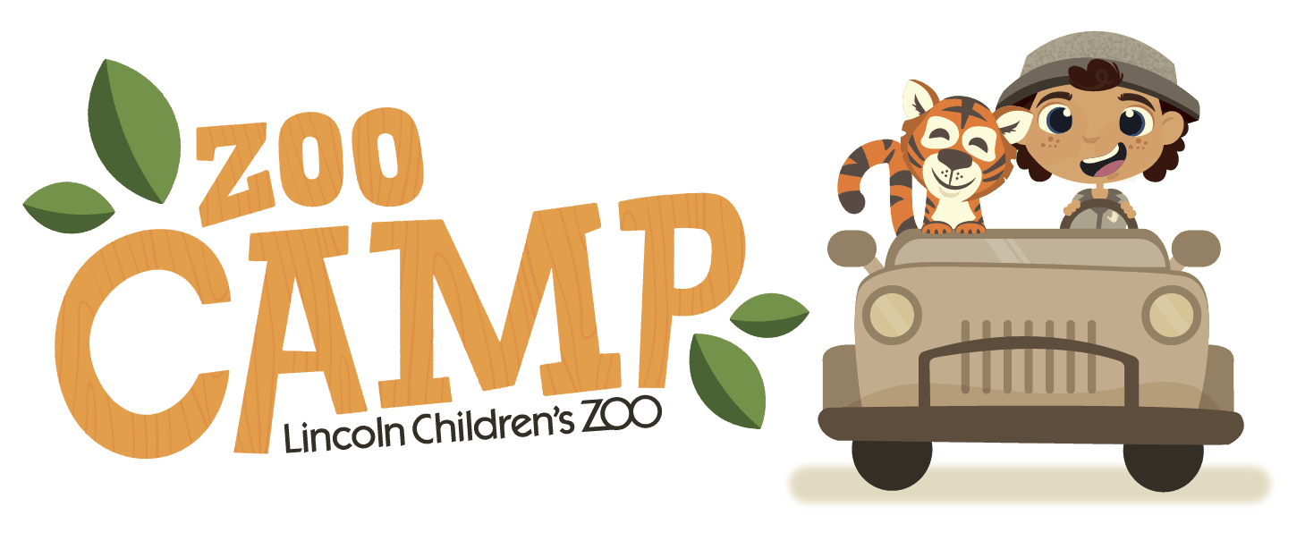 Zoo Camp