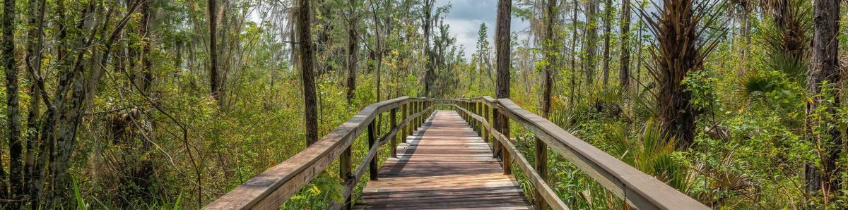 Visit Us : What We Do : Trout Lake Nature Center