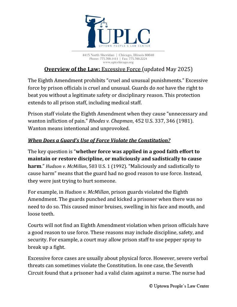 Overview of the Law: Excessive Force 