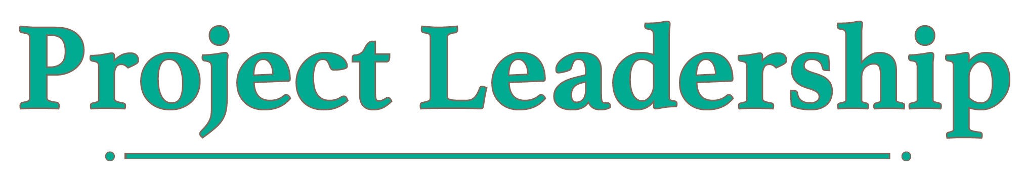 Project Leadership