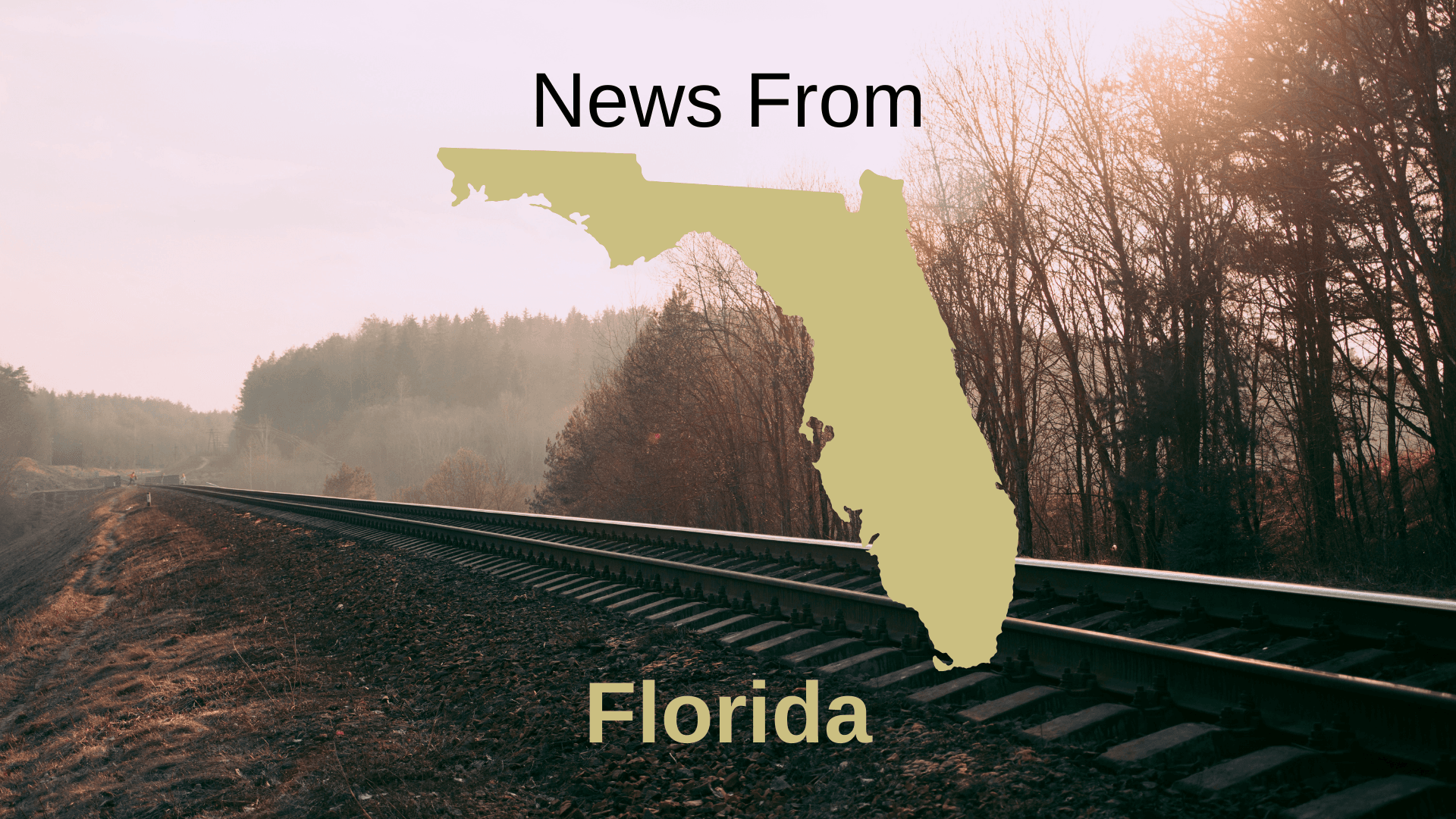 News From Our Press Release about Bonita Estero