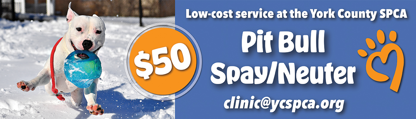 Spca spay best sale and neuter cost