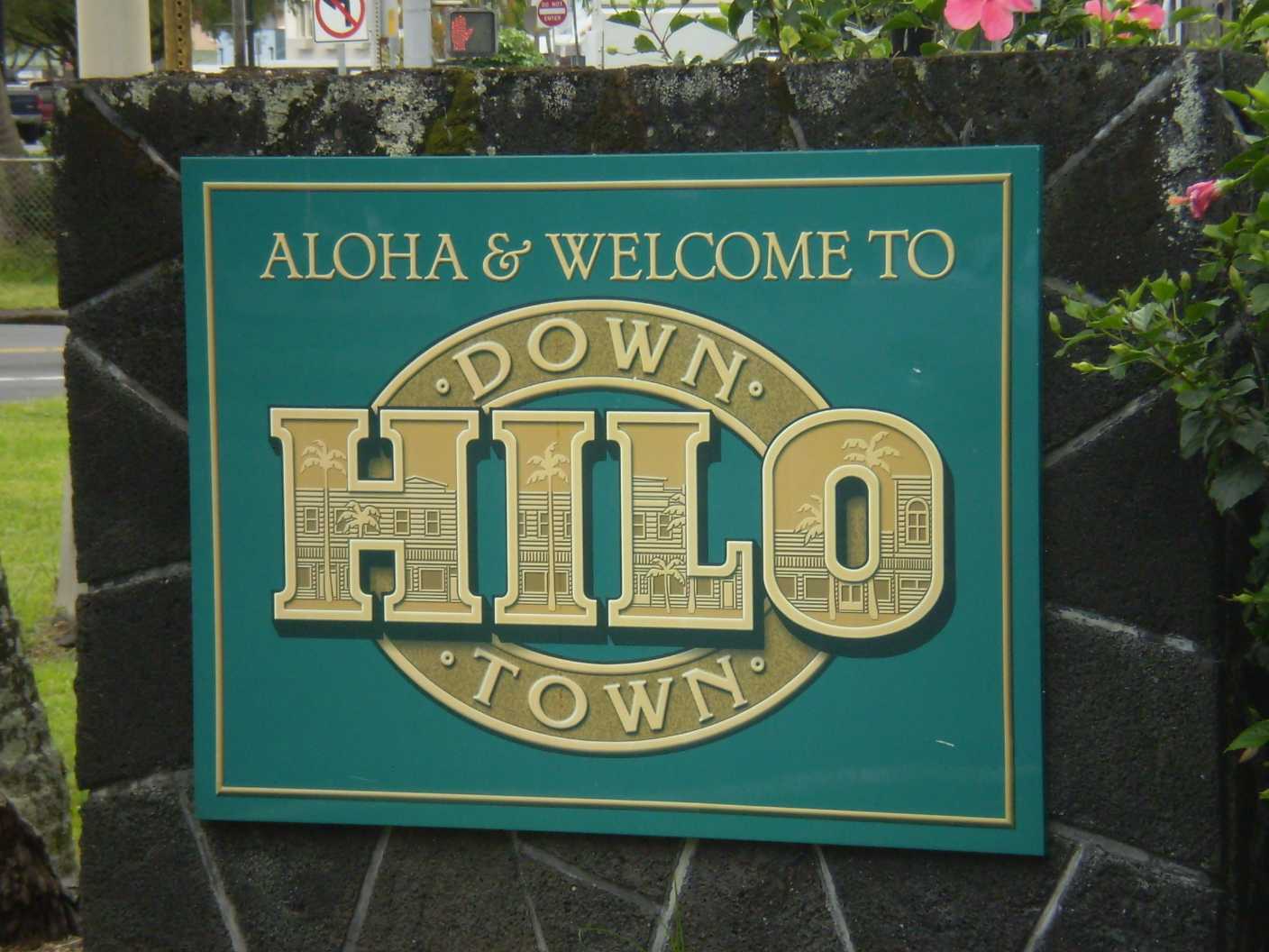 Community Voices - Hilo