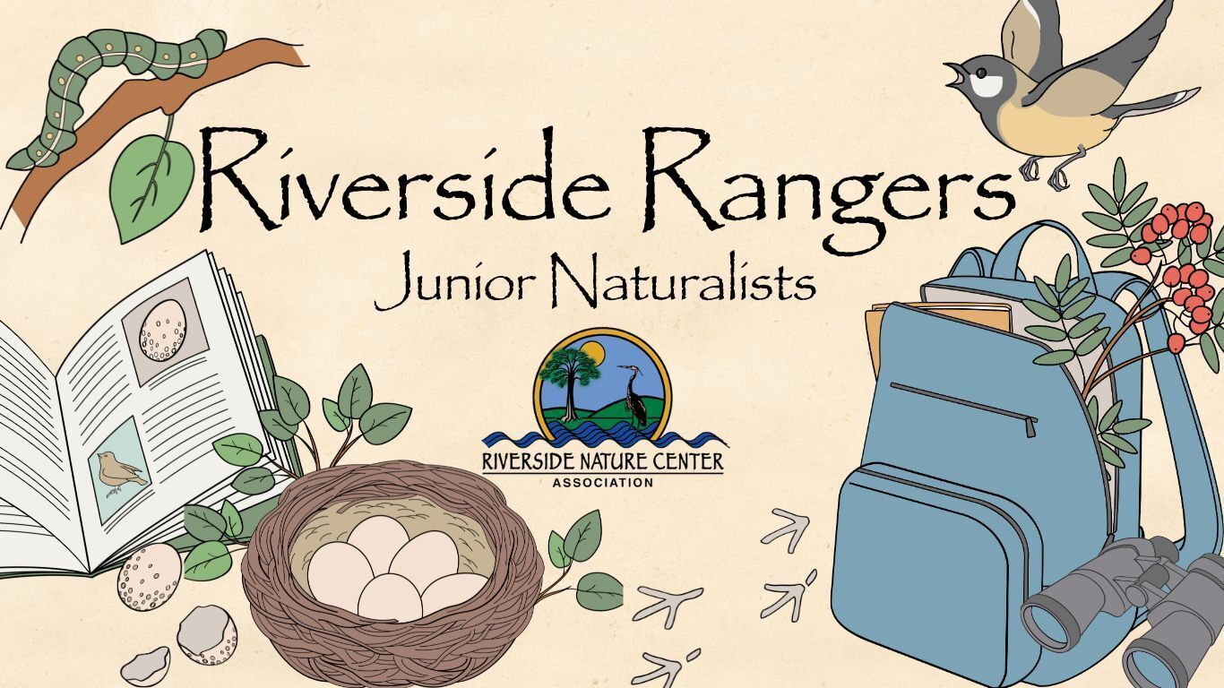 junior naturalist, youth outdoor education, kid's activities