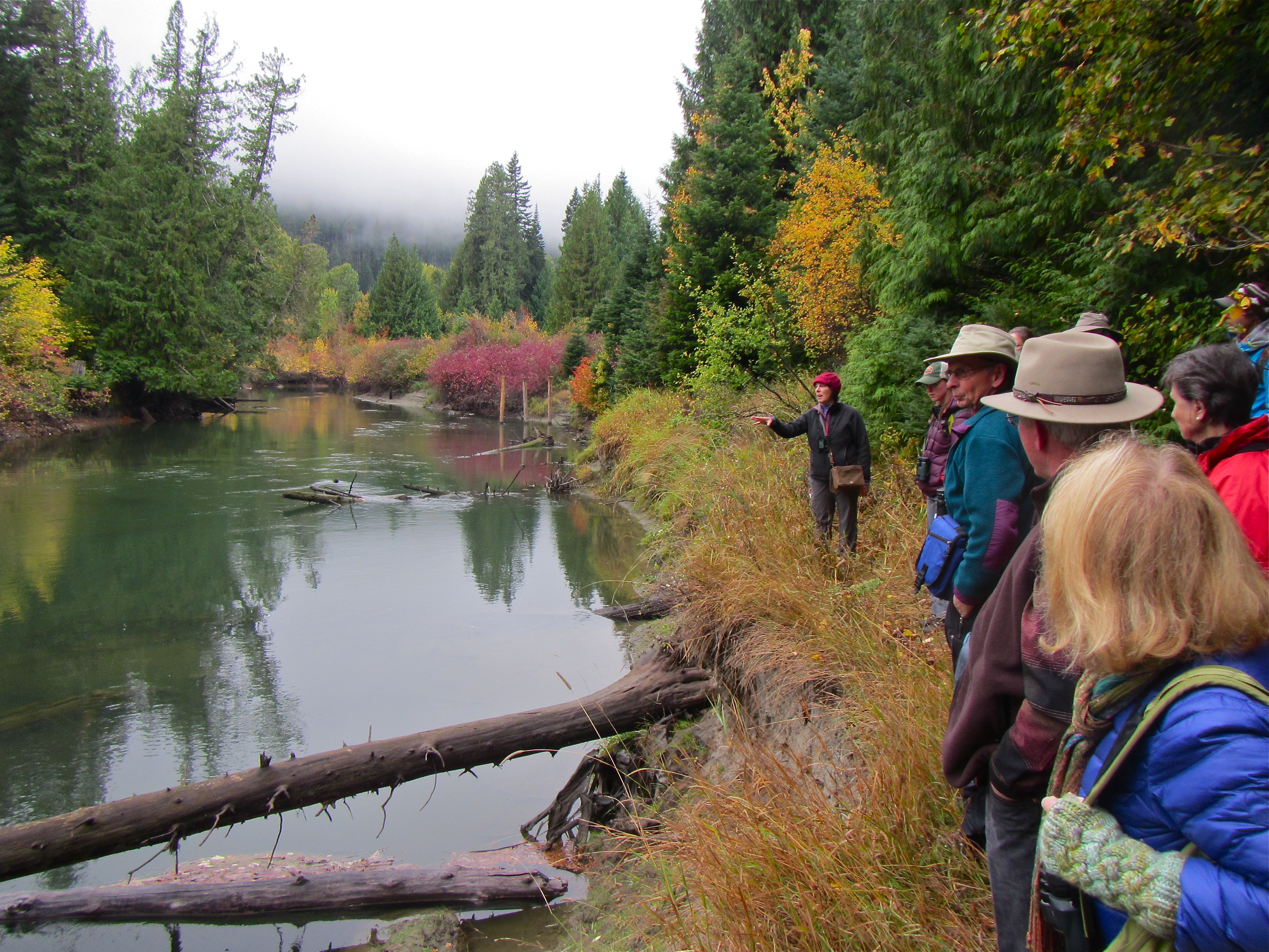 Wenatchee Naturalist 12 week course
