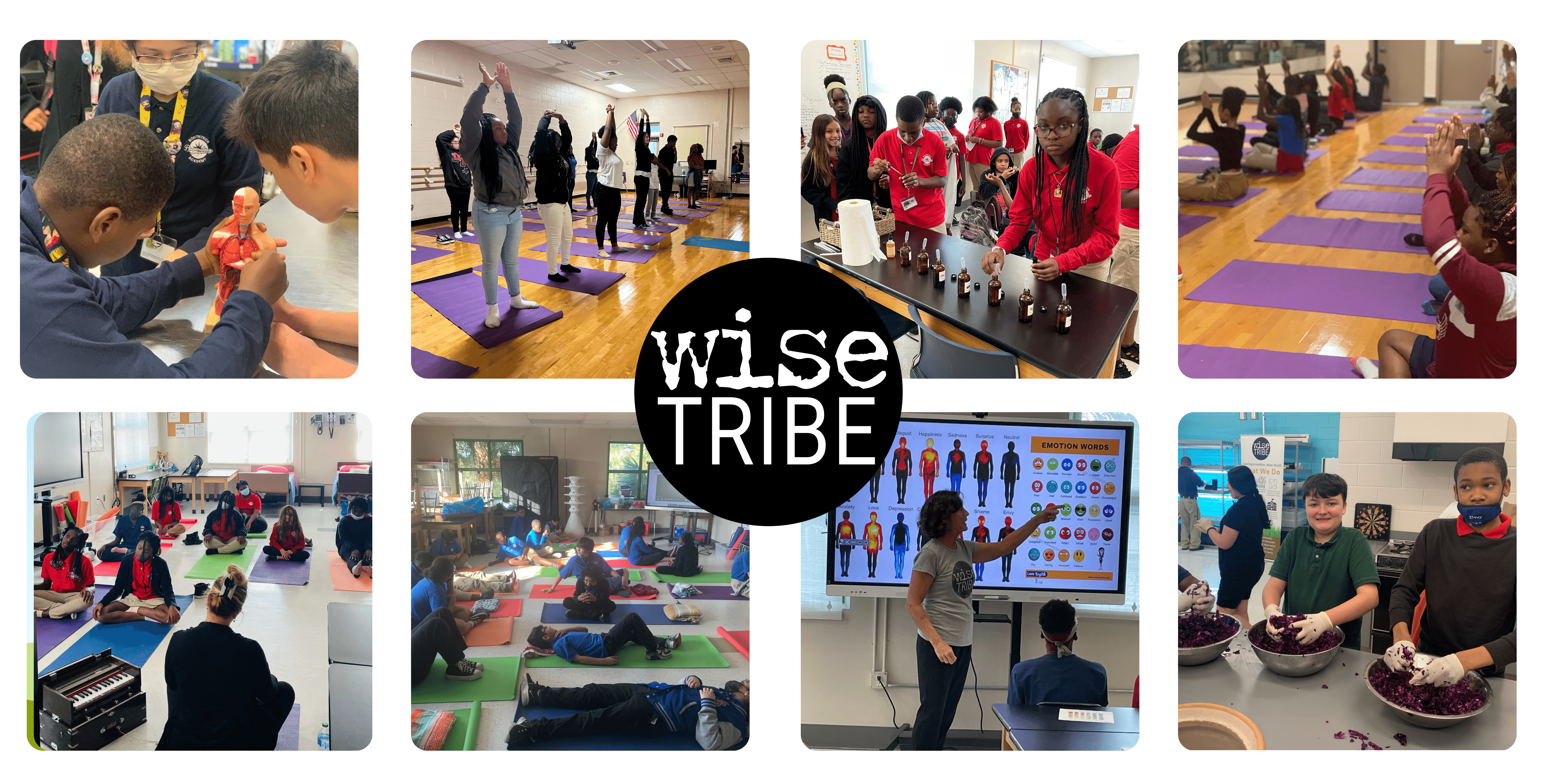 WiseTribe - United for a healthy and wise Well-Being future