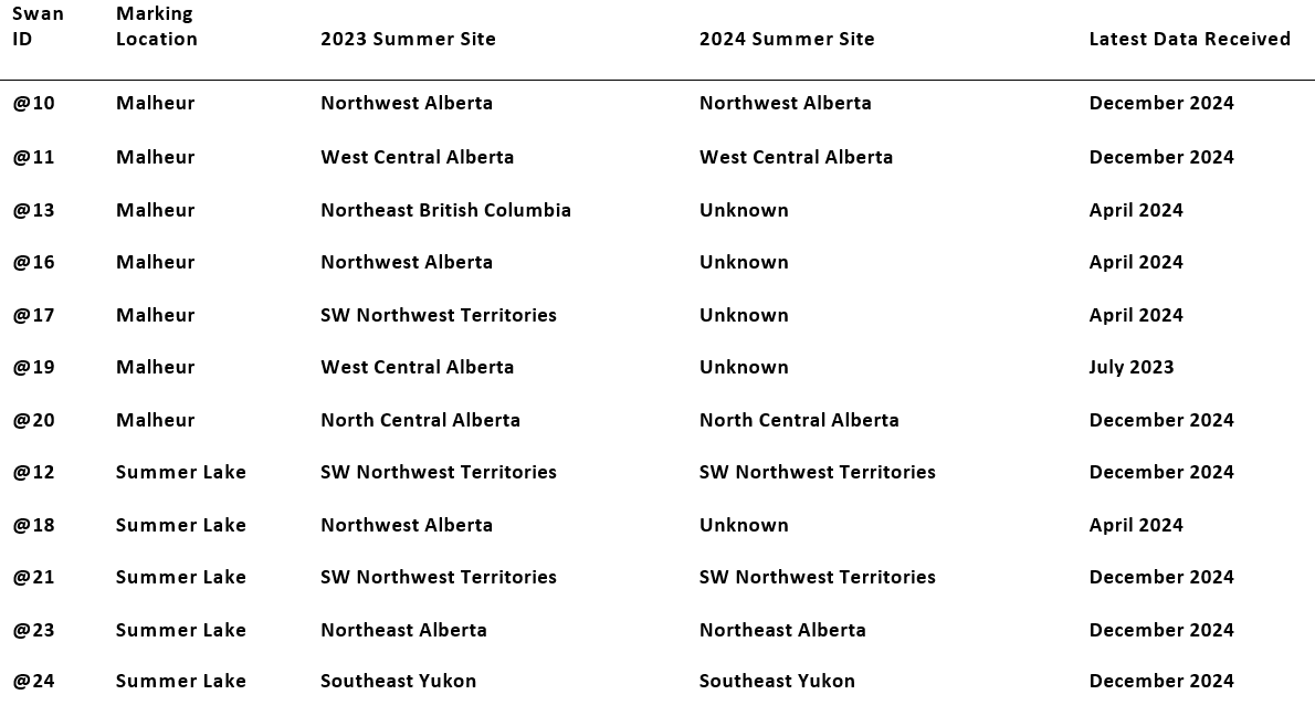 Current and last locations as of December 2024 