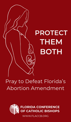 Novena for Oral Arguments Contesting Florida's Proposed Abortion Amendment