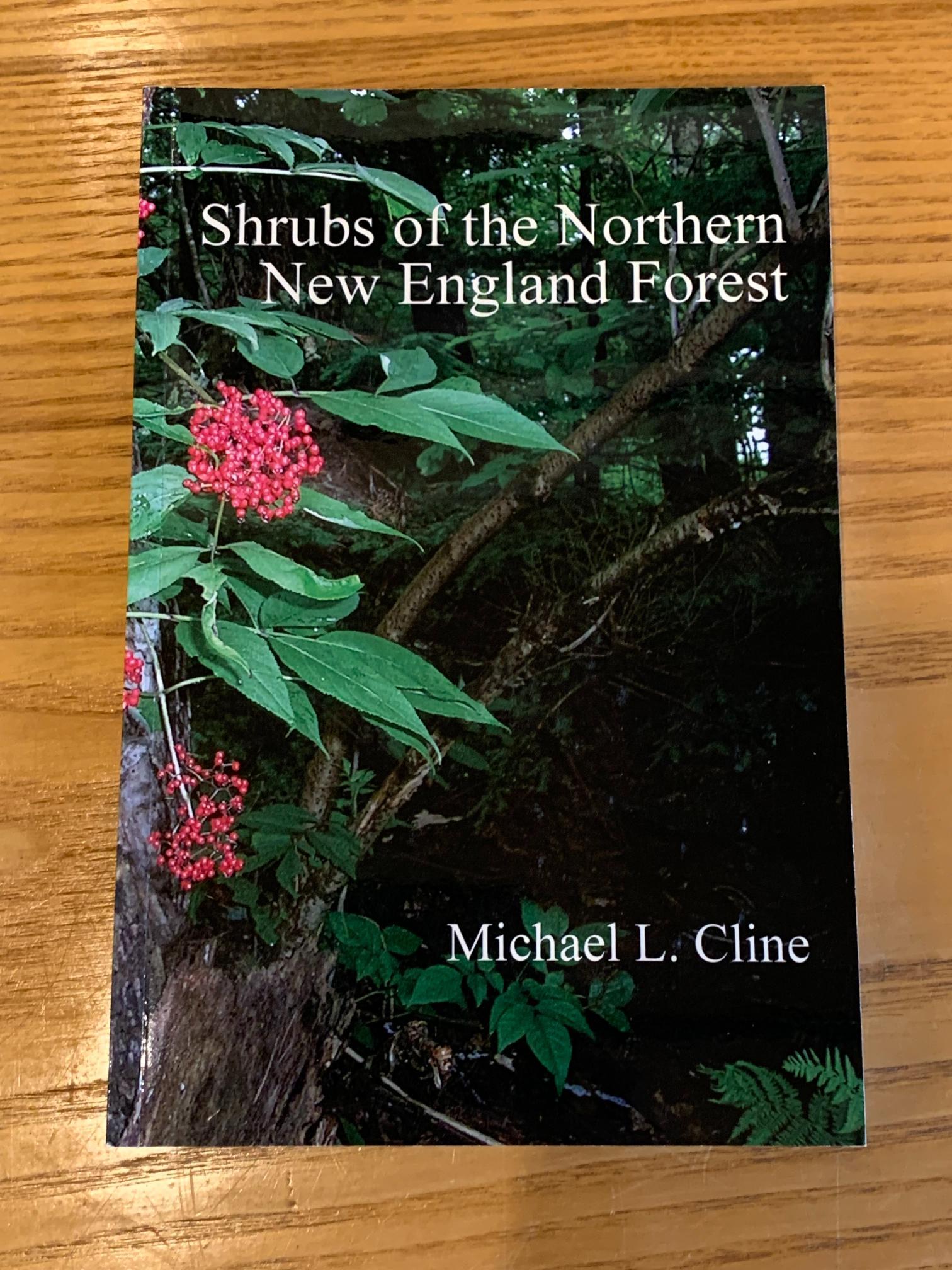 Shrubs of Northern New England Forest Book