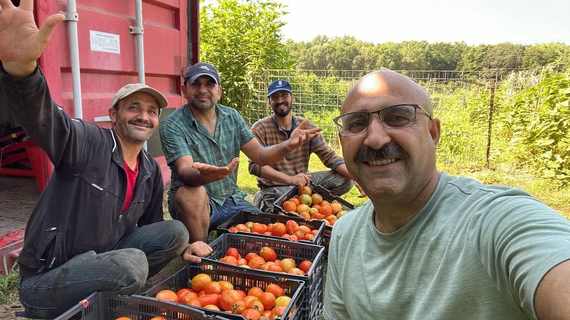 Community Crops farmers with their tomato harvest at Prairie Pines Nature Preserve