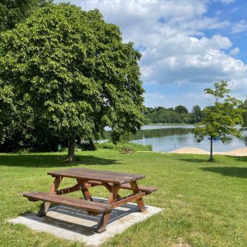 Parks & Picnics