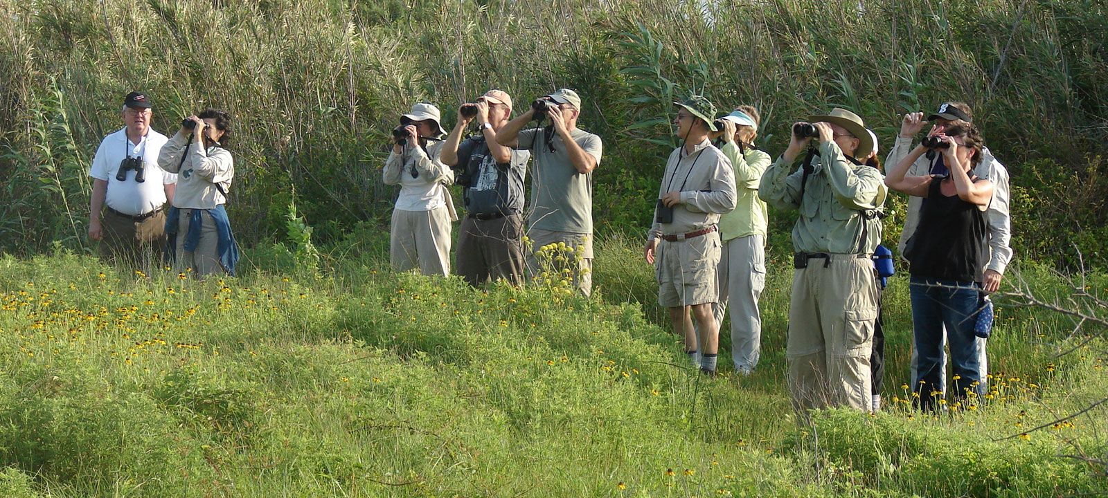 Birders