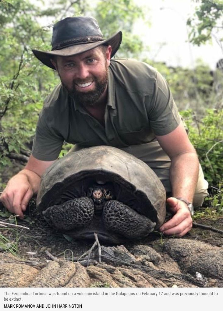 Man with the Fernandina Tortoise.