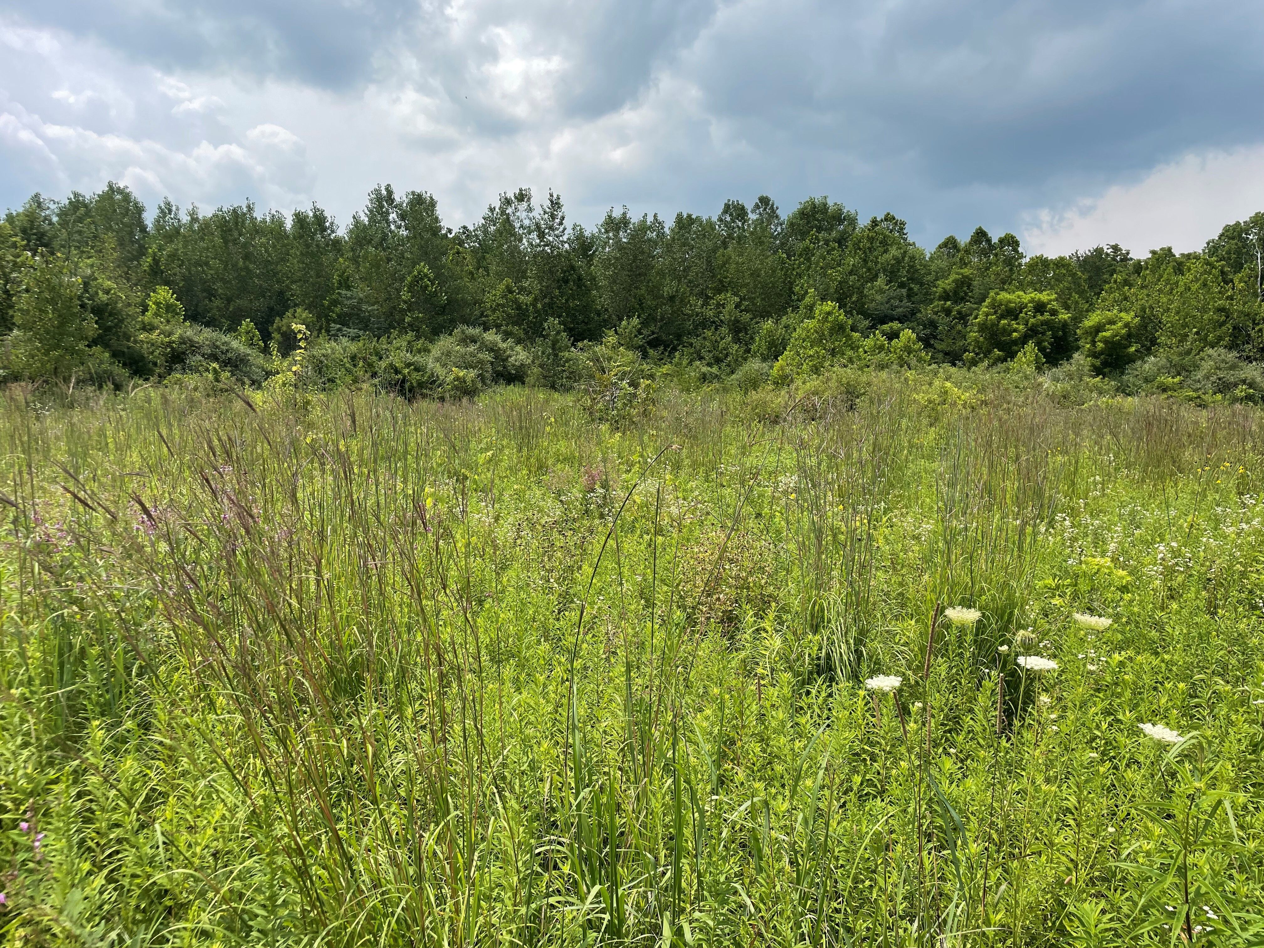 Producers and Landowners Can Now Sign Up for USDA's Grassland Conservation Reserve Program