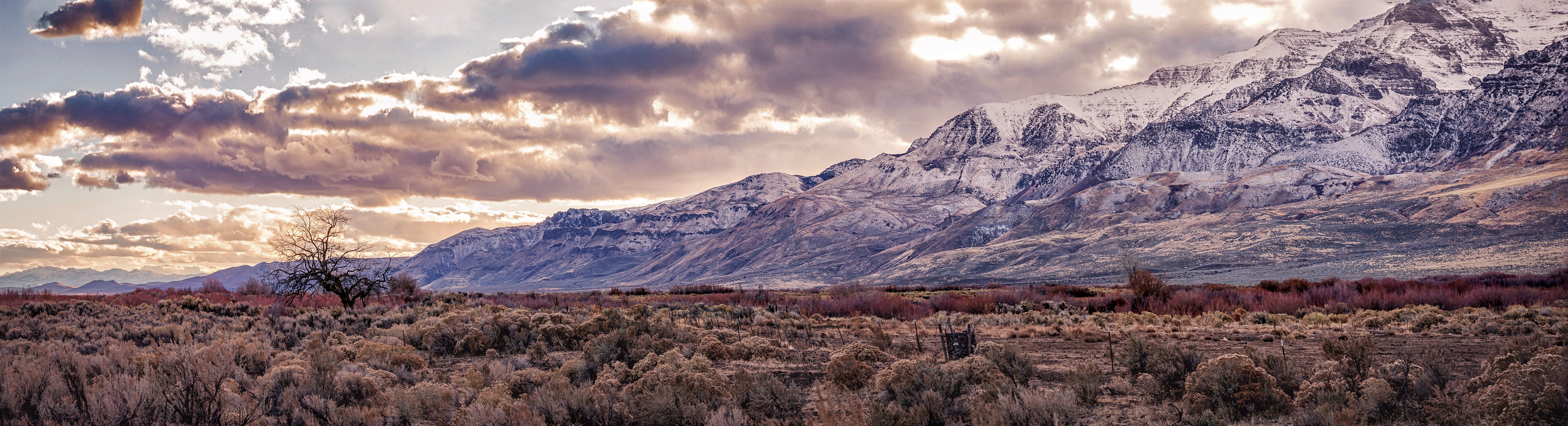 Working Together For Harney County