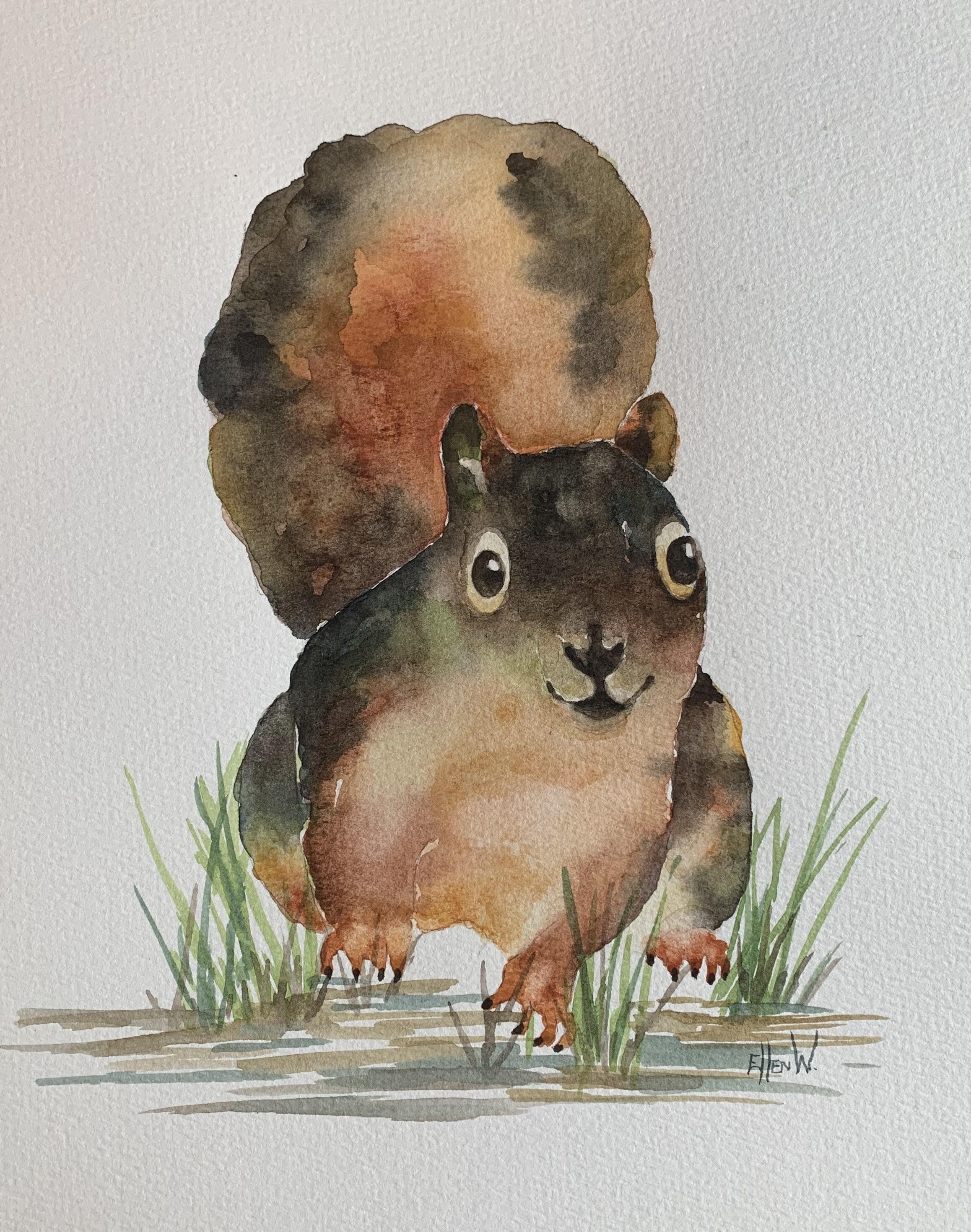 Soft water color painting of a squirrel facing you with its tail held upright. The squirrel has highlights on its chest and tail as it stands on the ground with green grass sprouts at its feet. 
