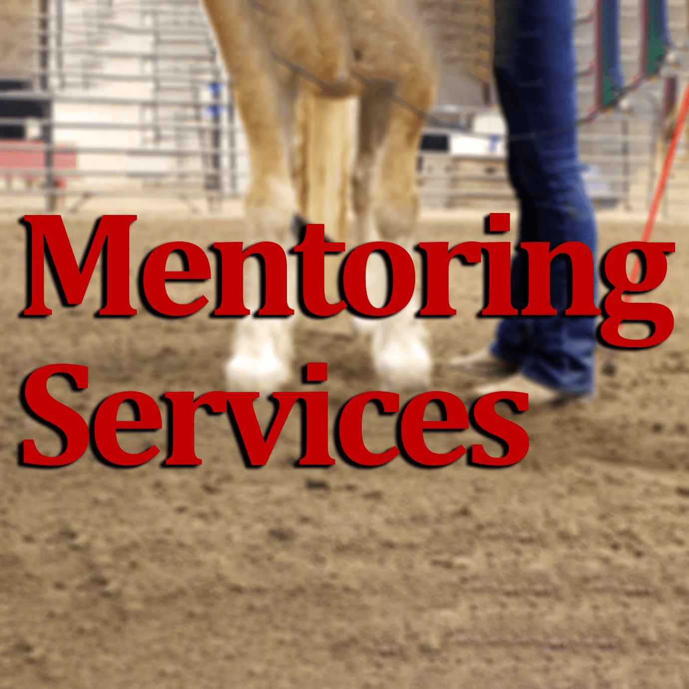 Mentoring Services