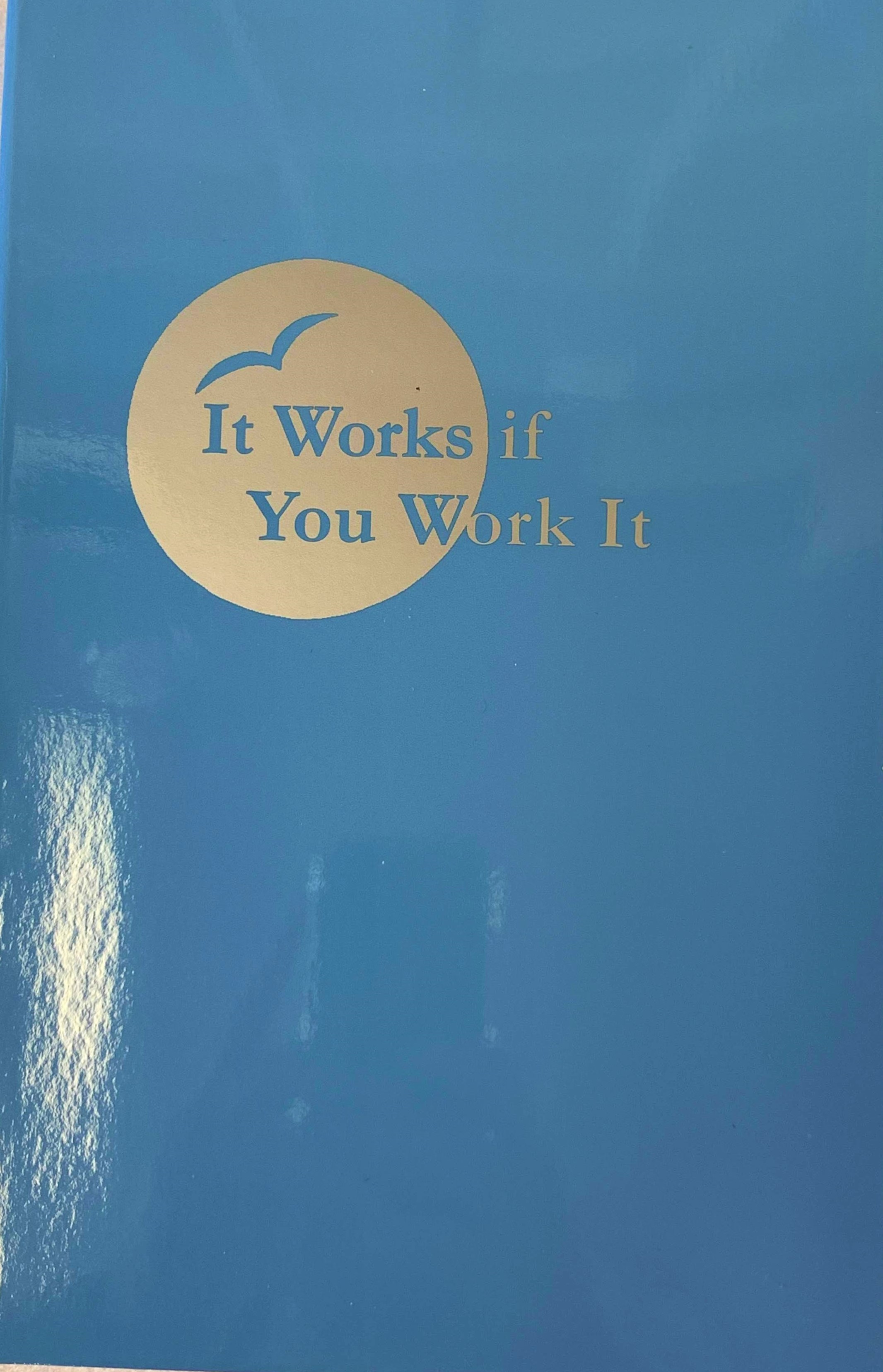Discounted Version of "It Works If You Work It" Book (slight markings on the covers)