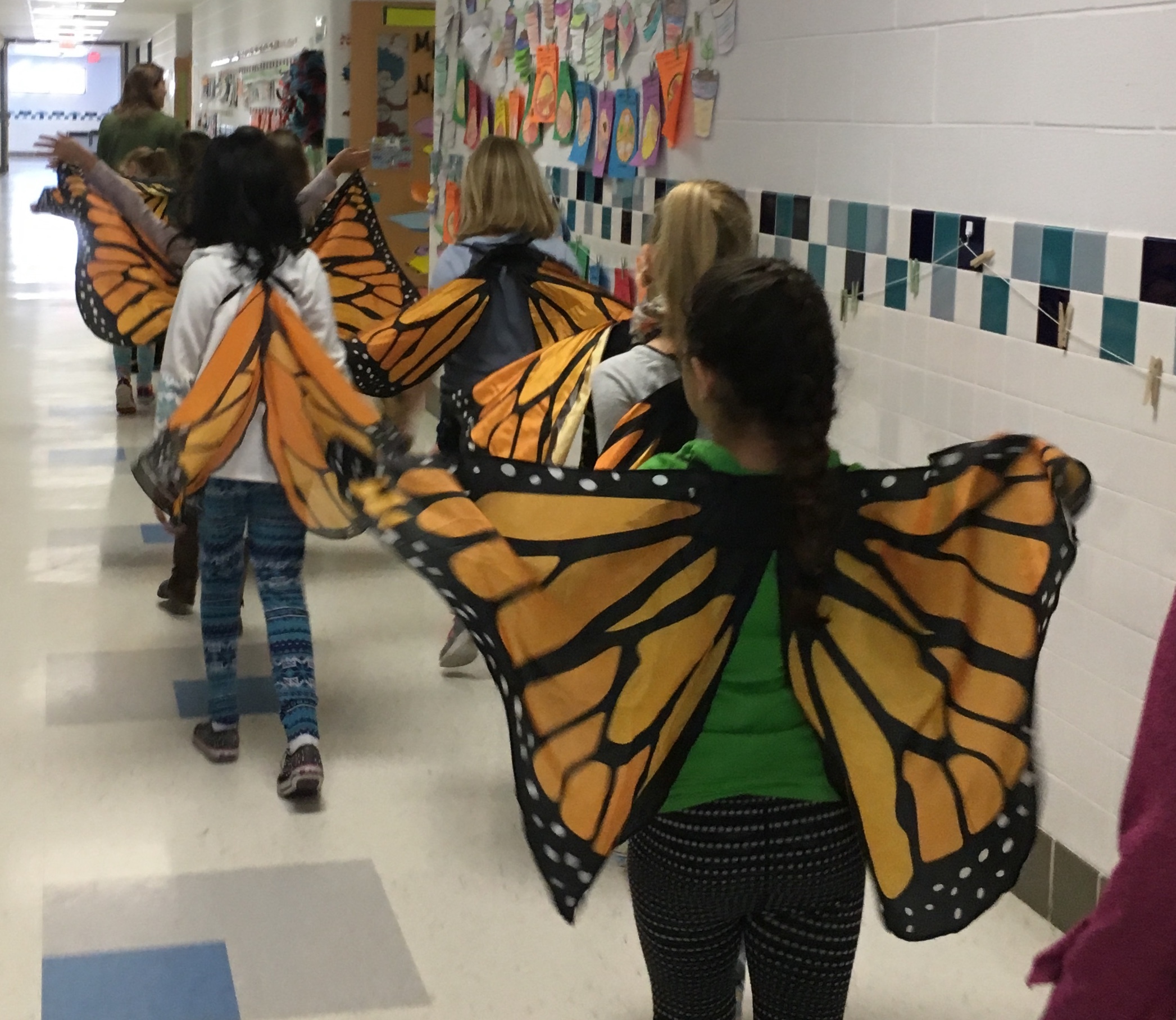 You can be a hero too! Your gift helps cover the cost of turning our popular Pollinator Heroes: Monarch Butterflies lesson into a virtual learning program for 2nd graders. 