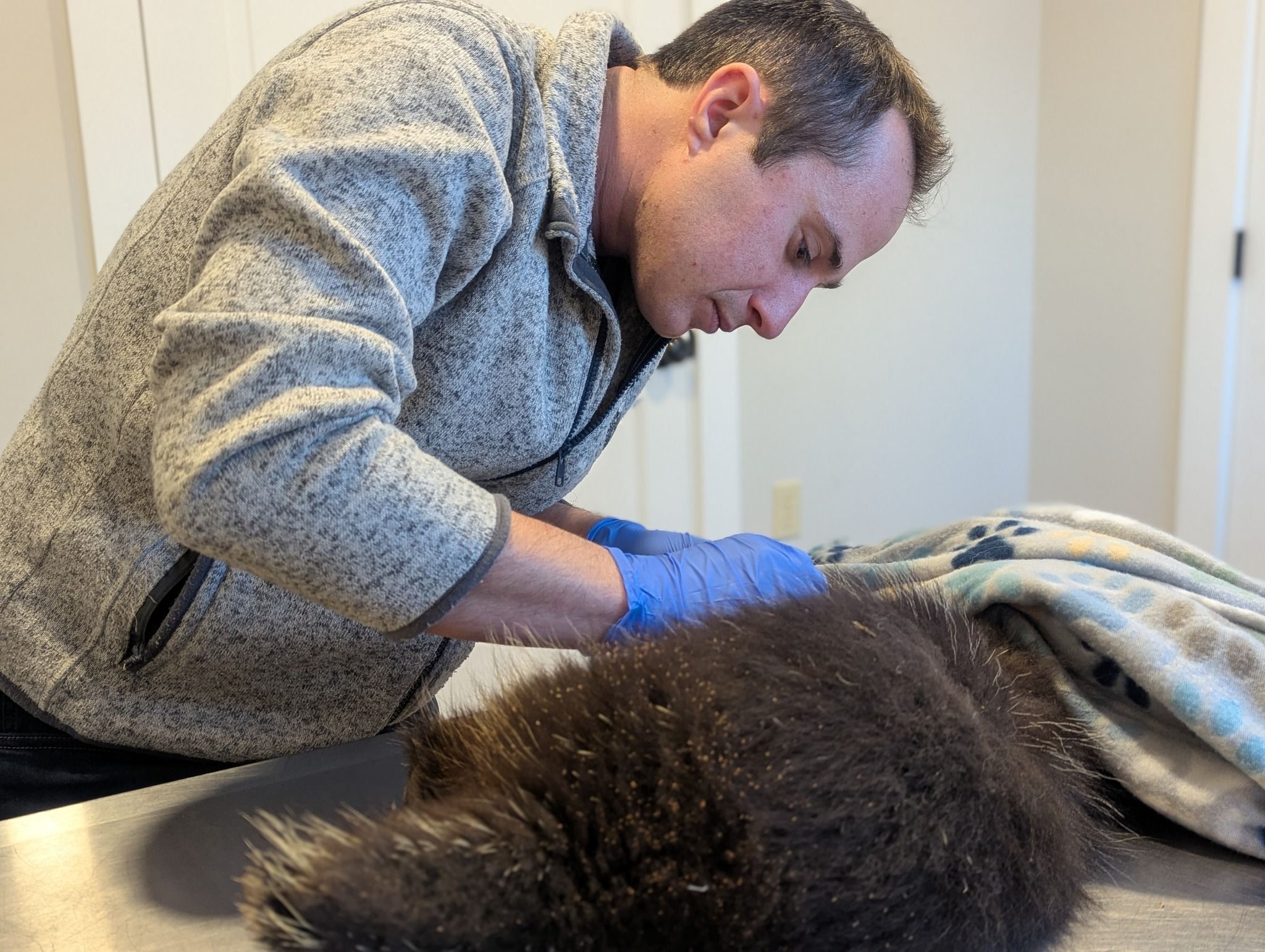 Avery with porcupine 