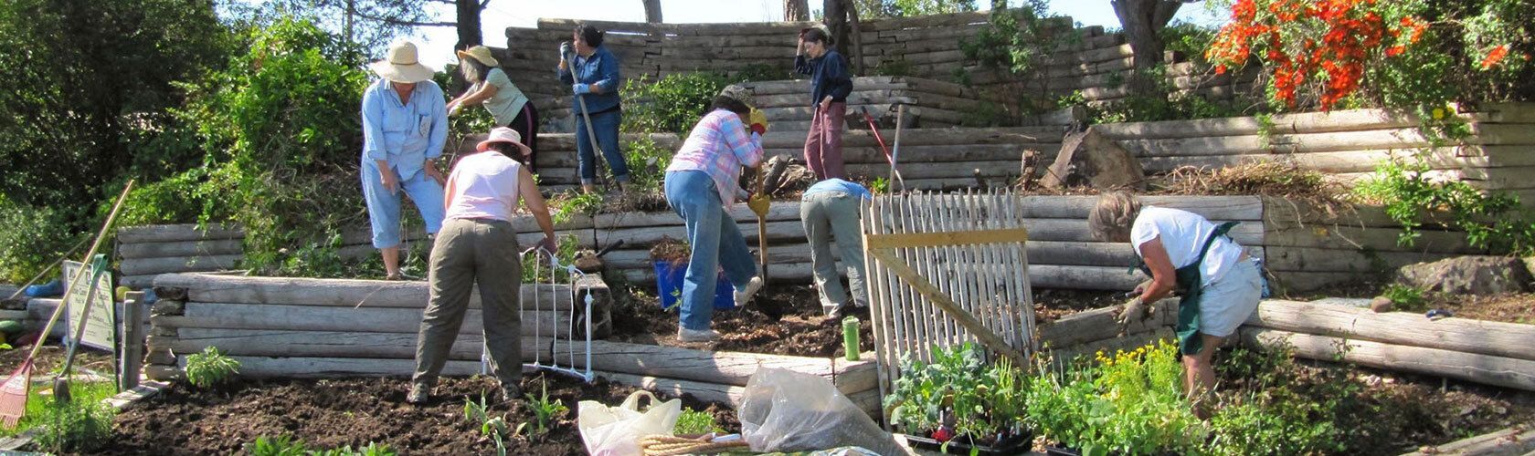 Women working on the Time Bank community garden.