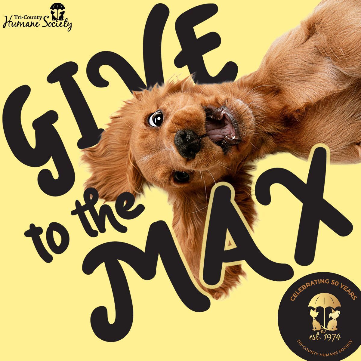 We want YOU To Give to the Max for Homeless Animals!