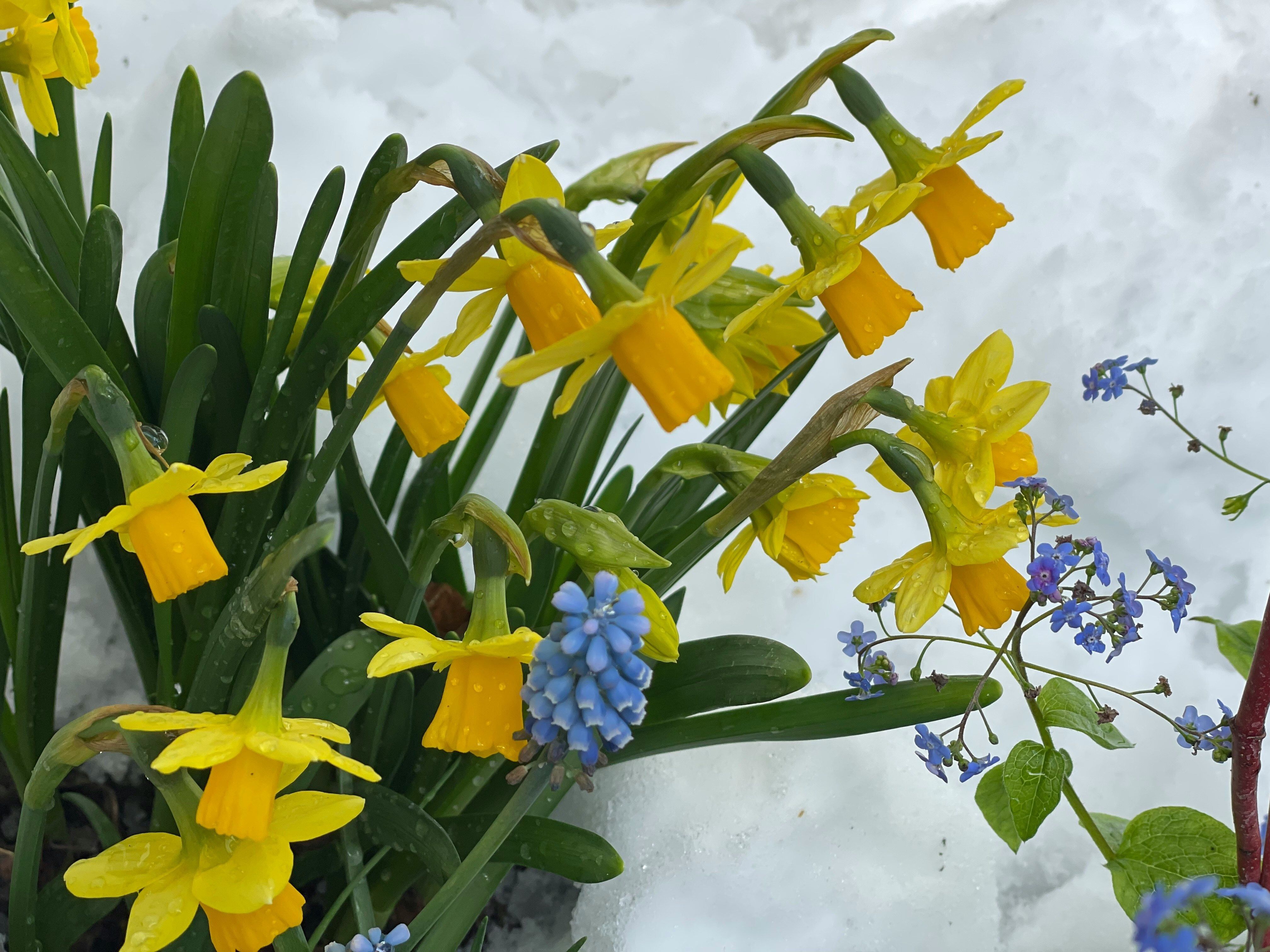 We're Bringing First Season Home!