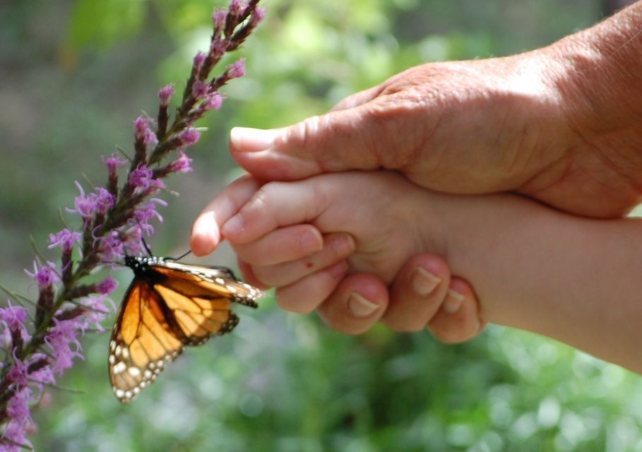 BOGO Membership Drive, Riverside Nature Center, Become a member of Riverside Nature Center