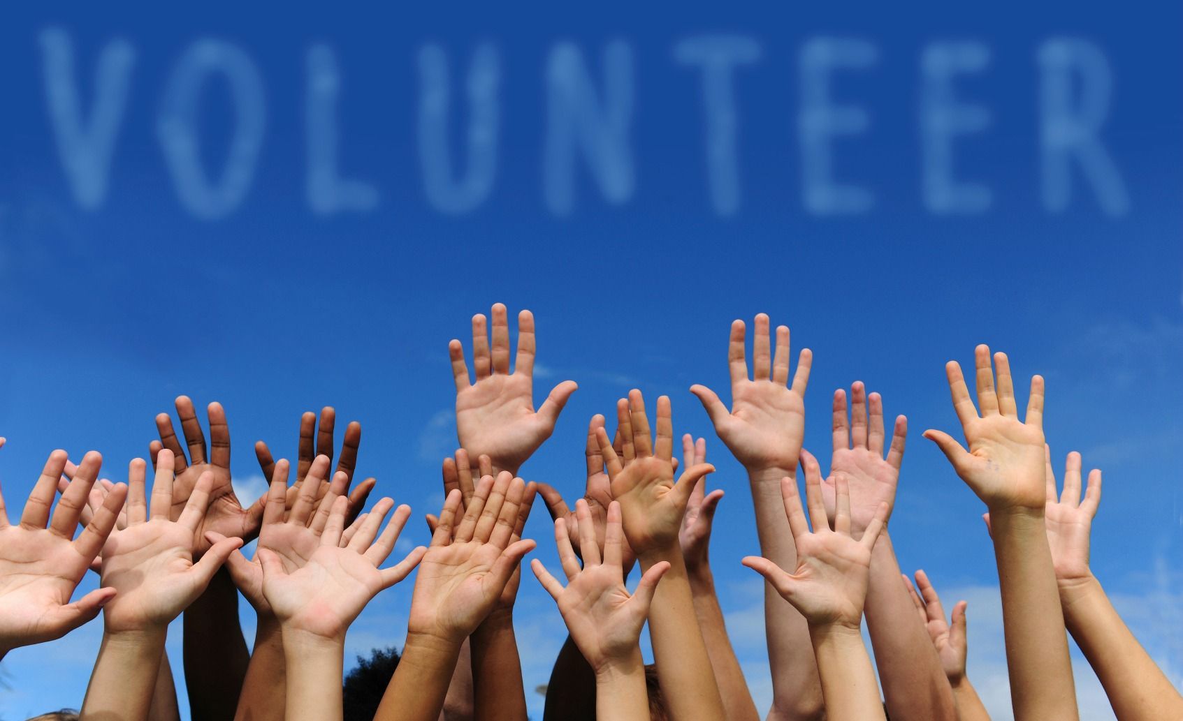 Make a difference with your free time... volunteer!