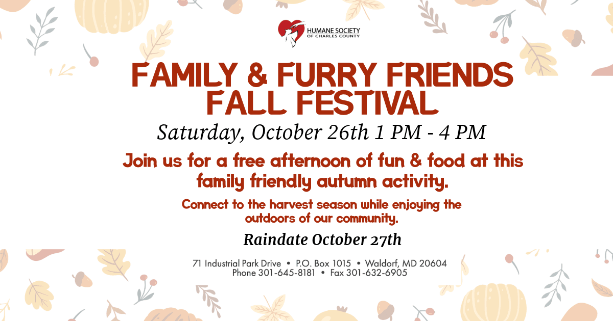 Family & Furry Friends Fall Festival