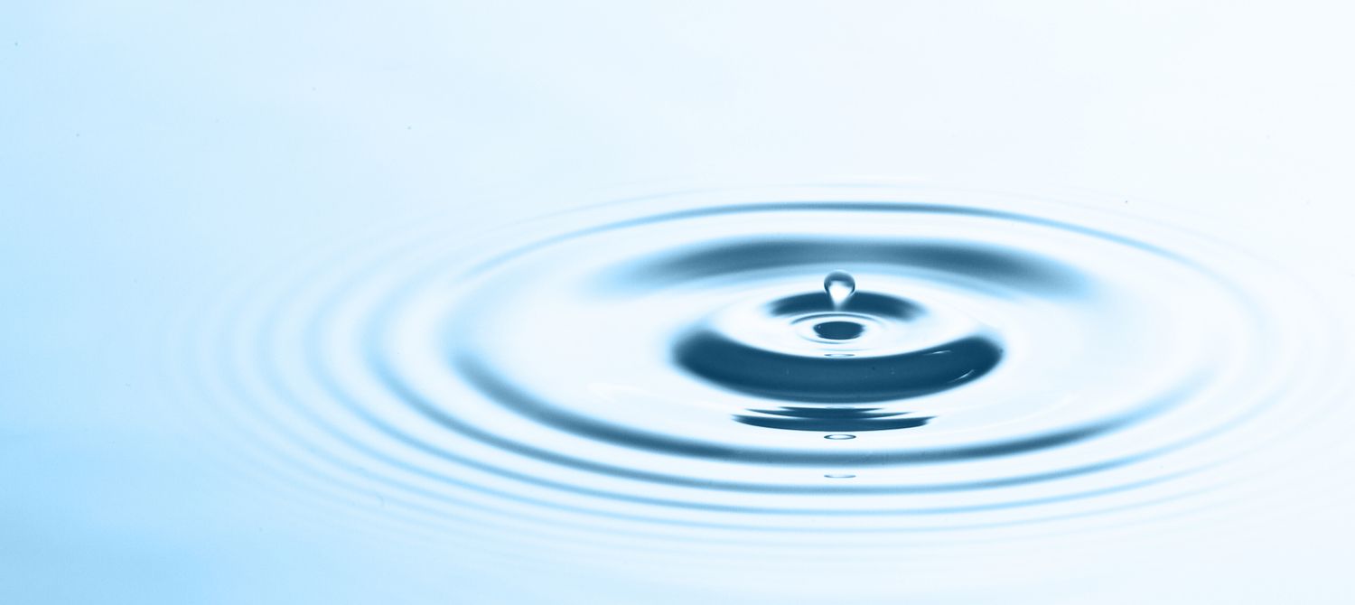 Your contribution has a ripple effect.