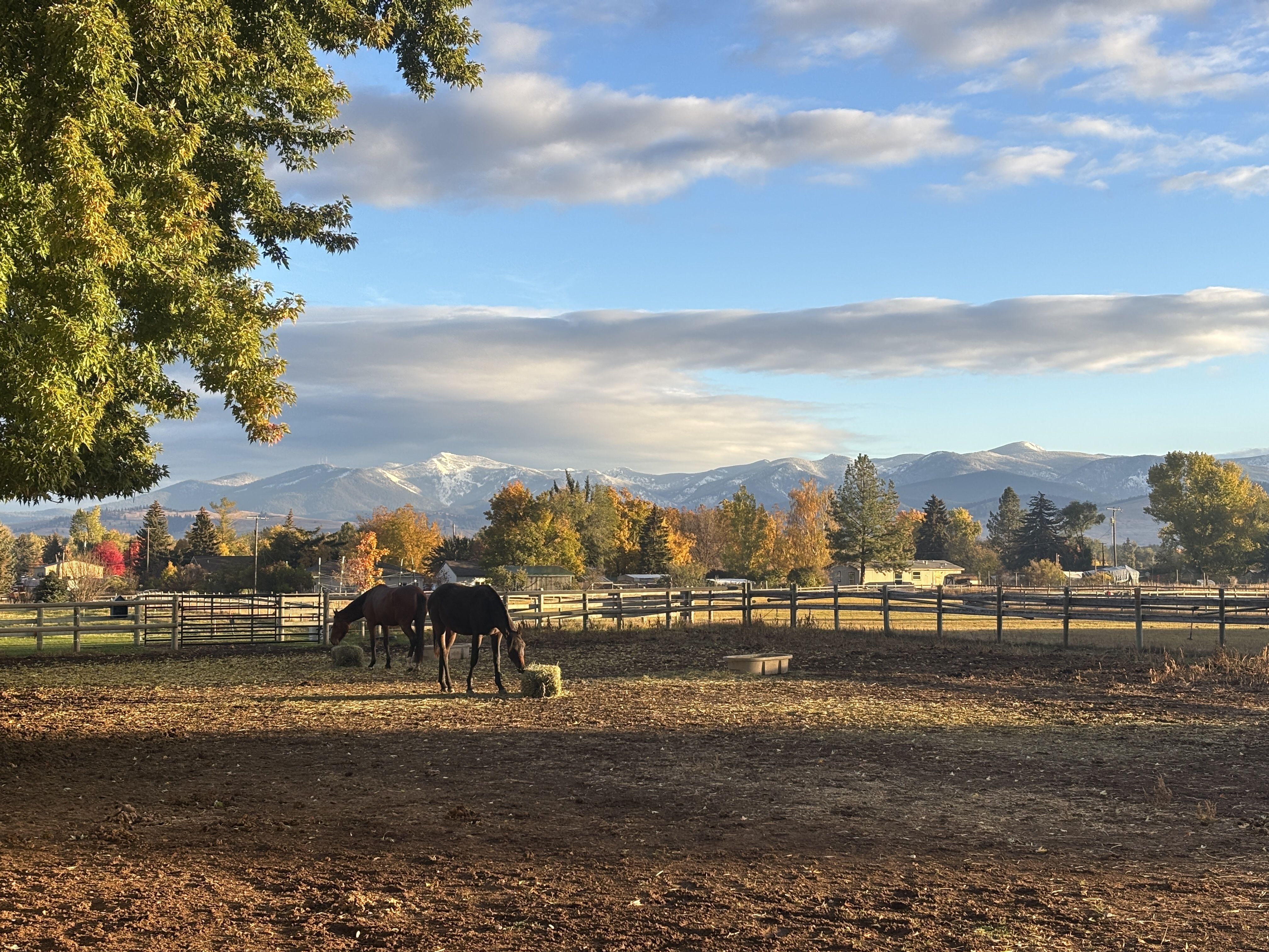 Improving 2027 Spring Pastures with Six 2026 Fall Actions
