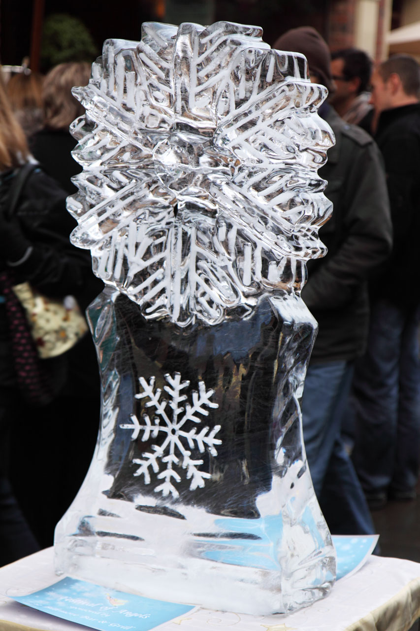 Hands-On Ice Carving