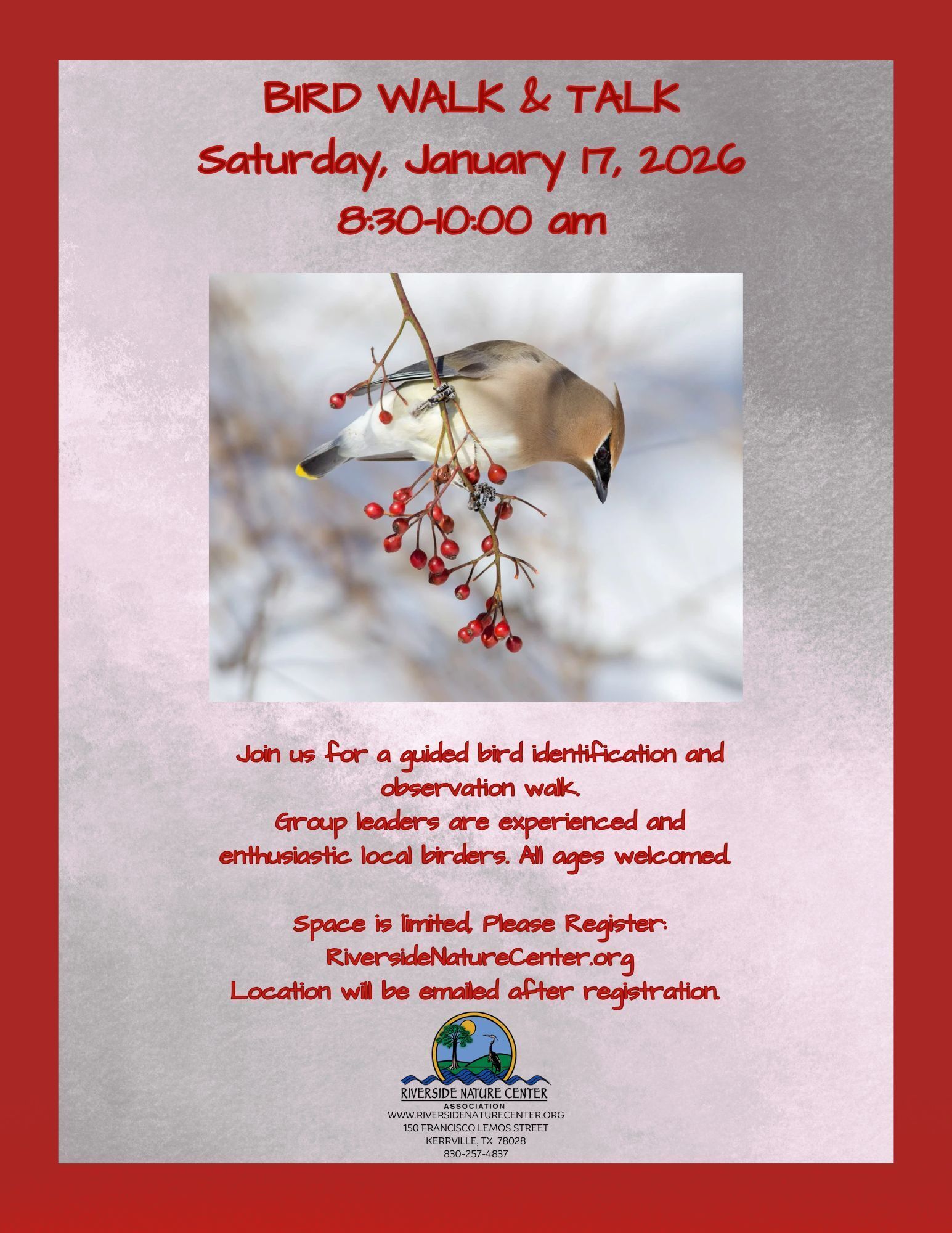 Bird Watching near me, Riverside Nature Center, Texas Master Naturalist, Kerrville, Nature lover, education about birds