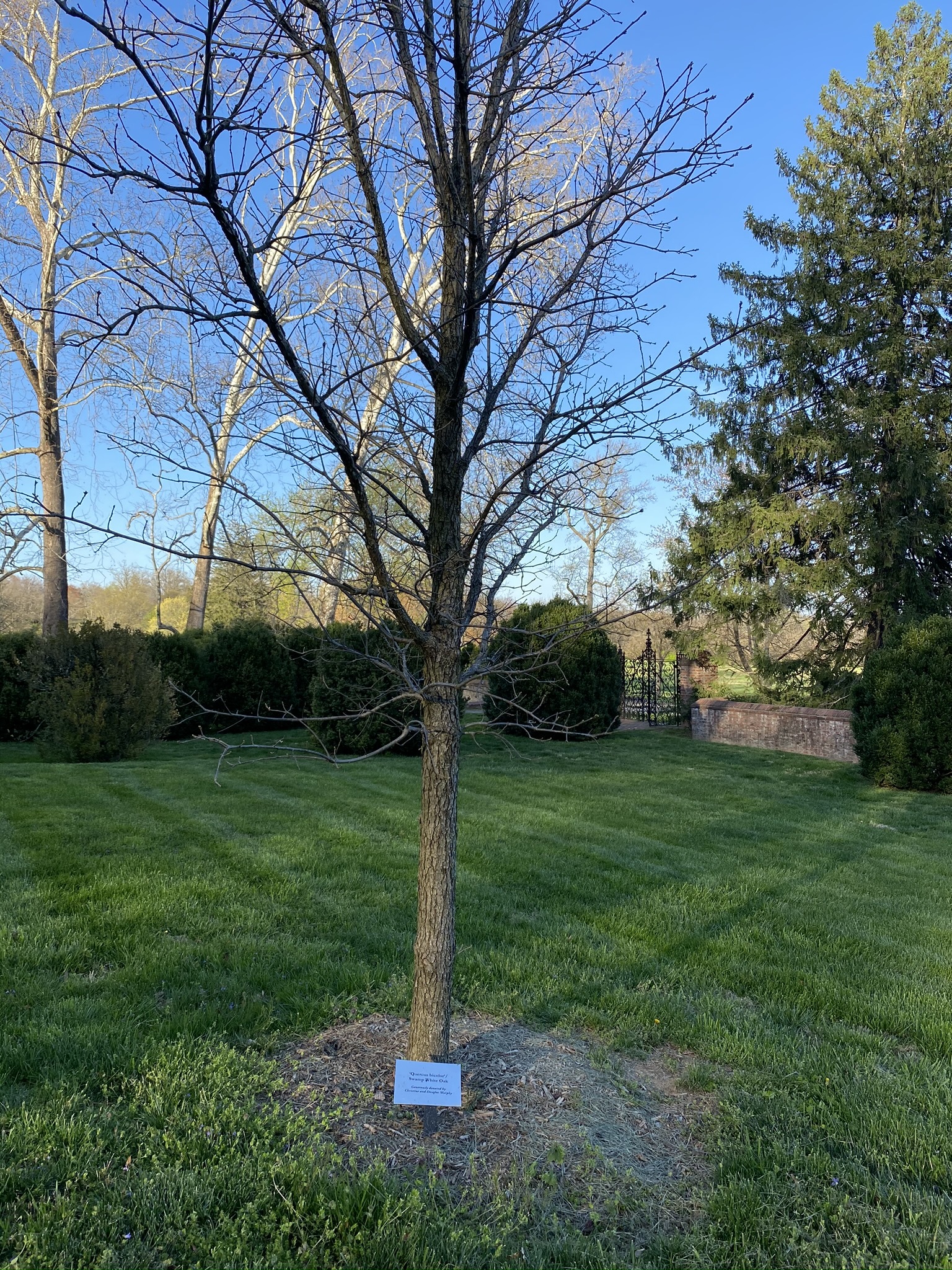 Speak for the trees! This $50 donation provides helpful tree identification markers so that Park guests can learn the difference between an Ash and an Elm tree.