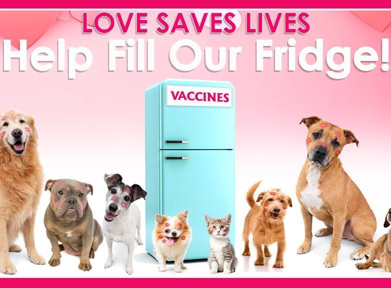 FILL THE FRIDGE February 2026